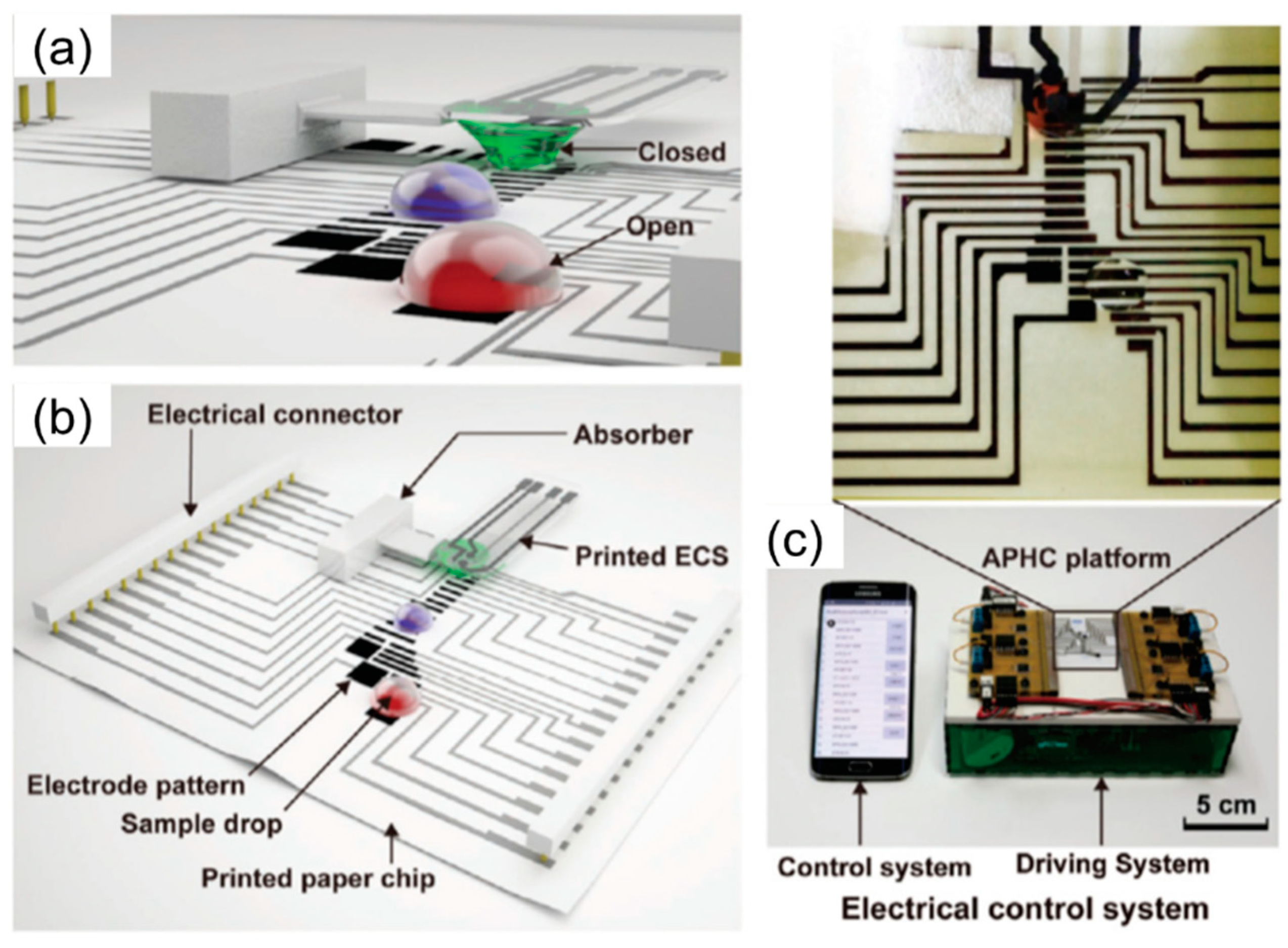 Molecules 25 02970 g009