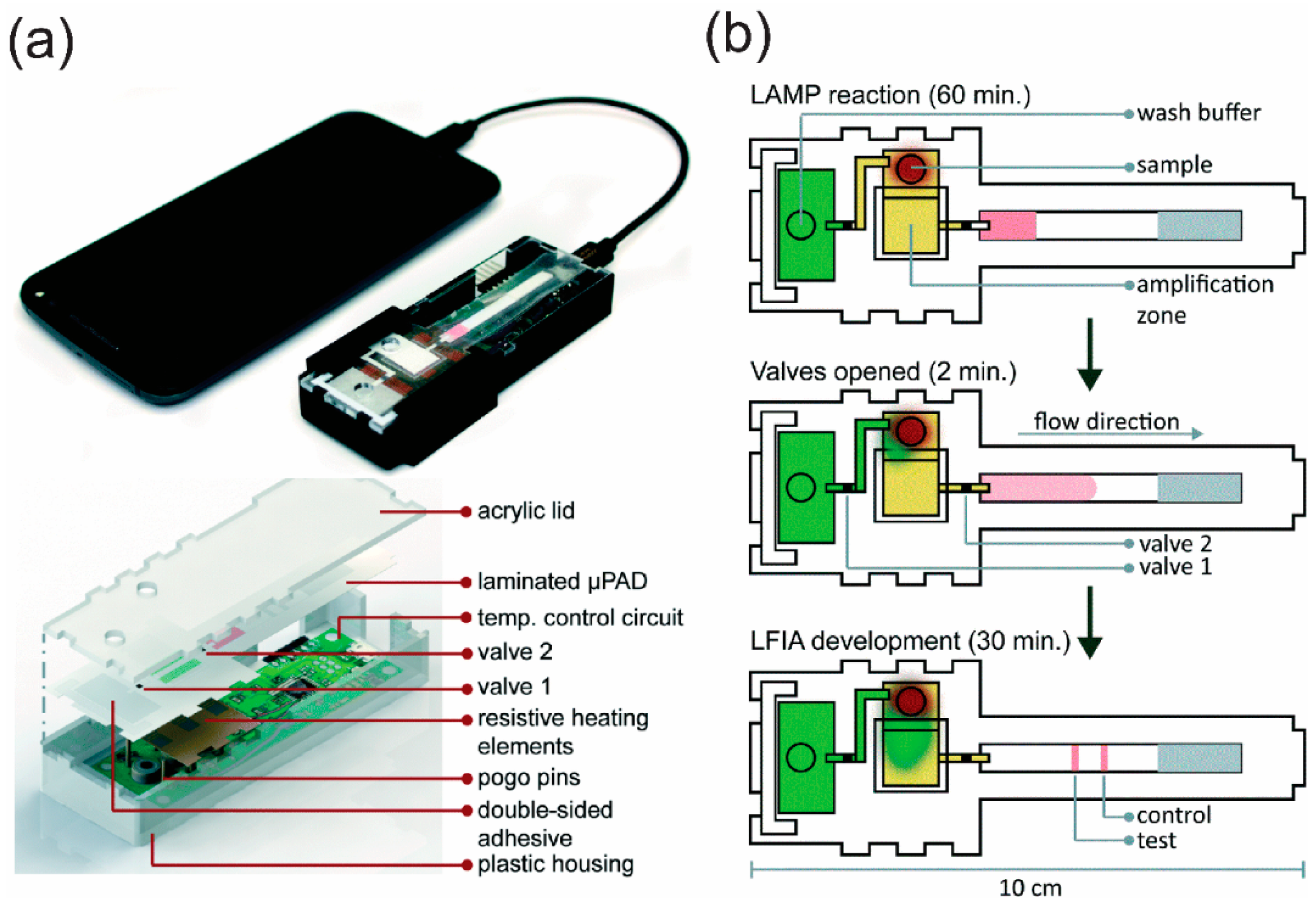 Molecules 25 02970 g012