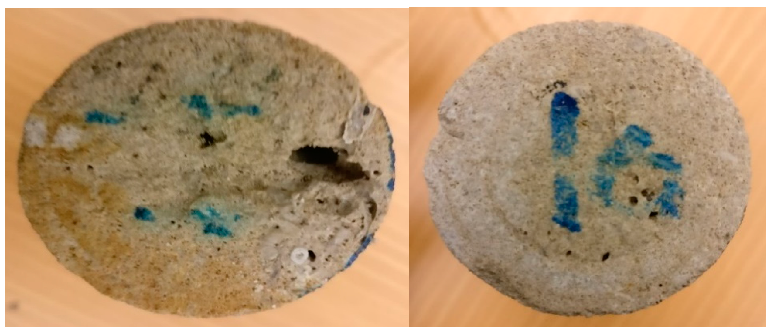 Molecules 25 02976 g010