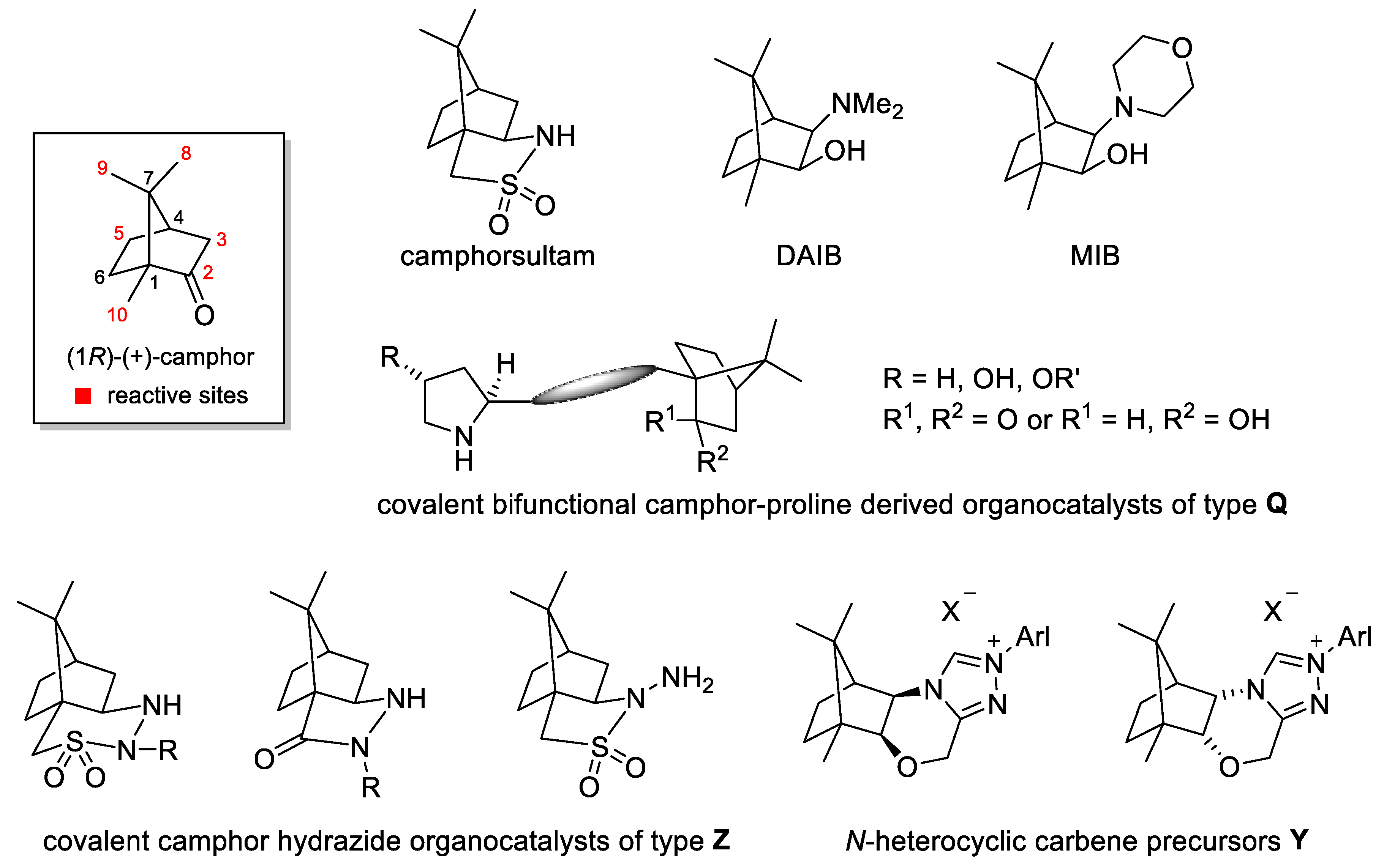 Molecules 25 02978 g001