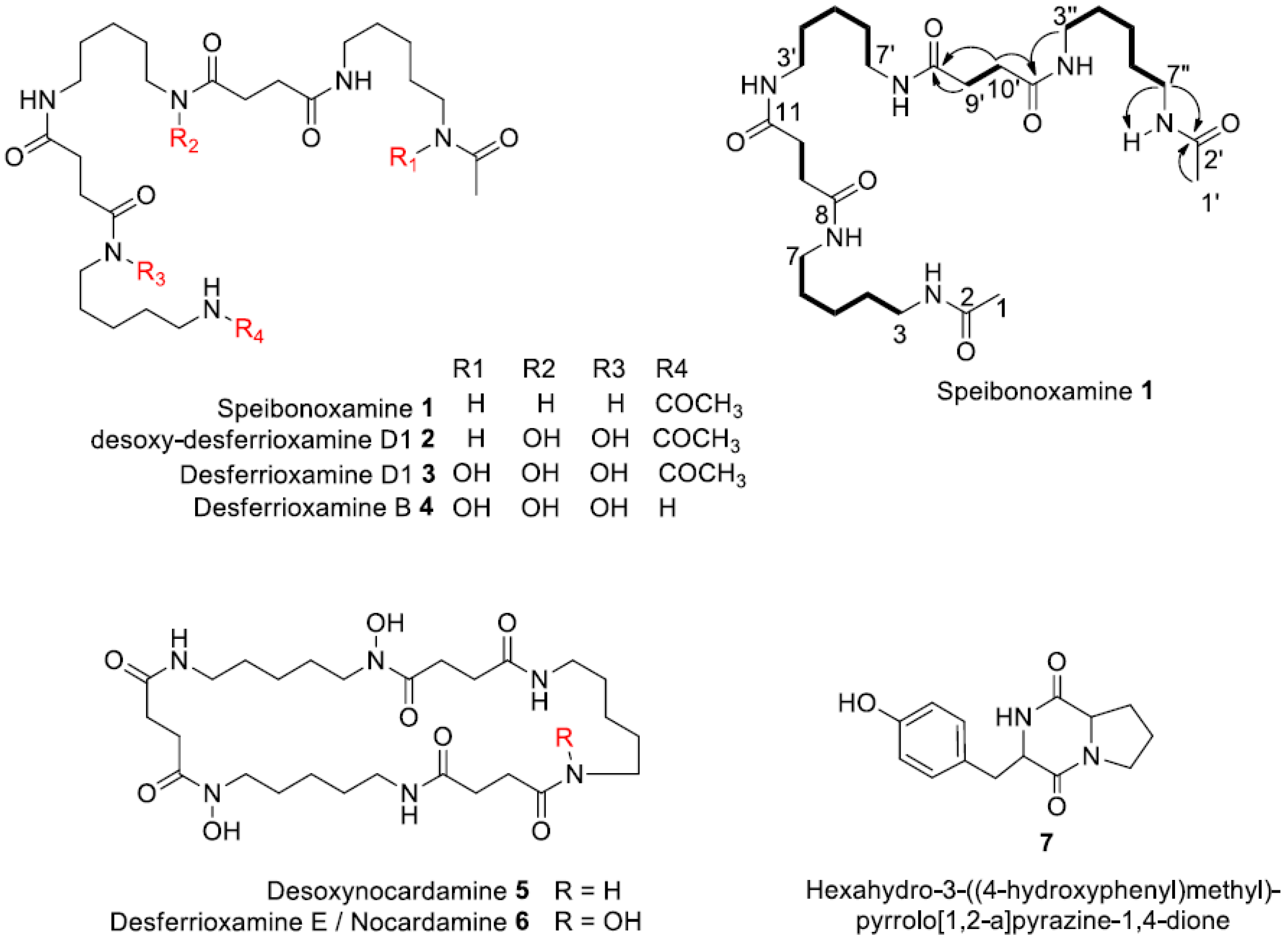 Molecules 25 02979 g001