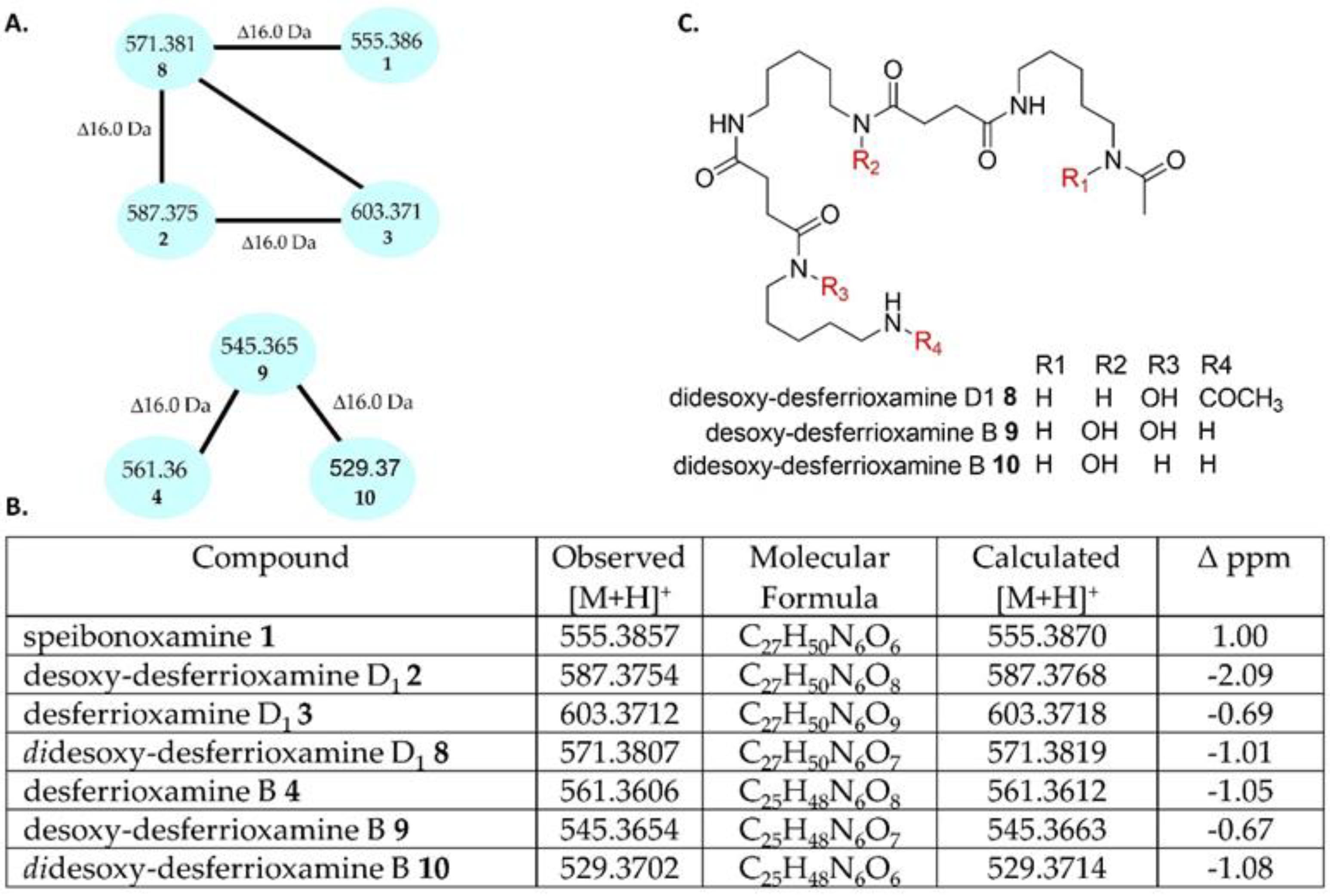 Molecules 25 02979 g002