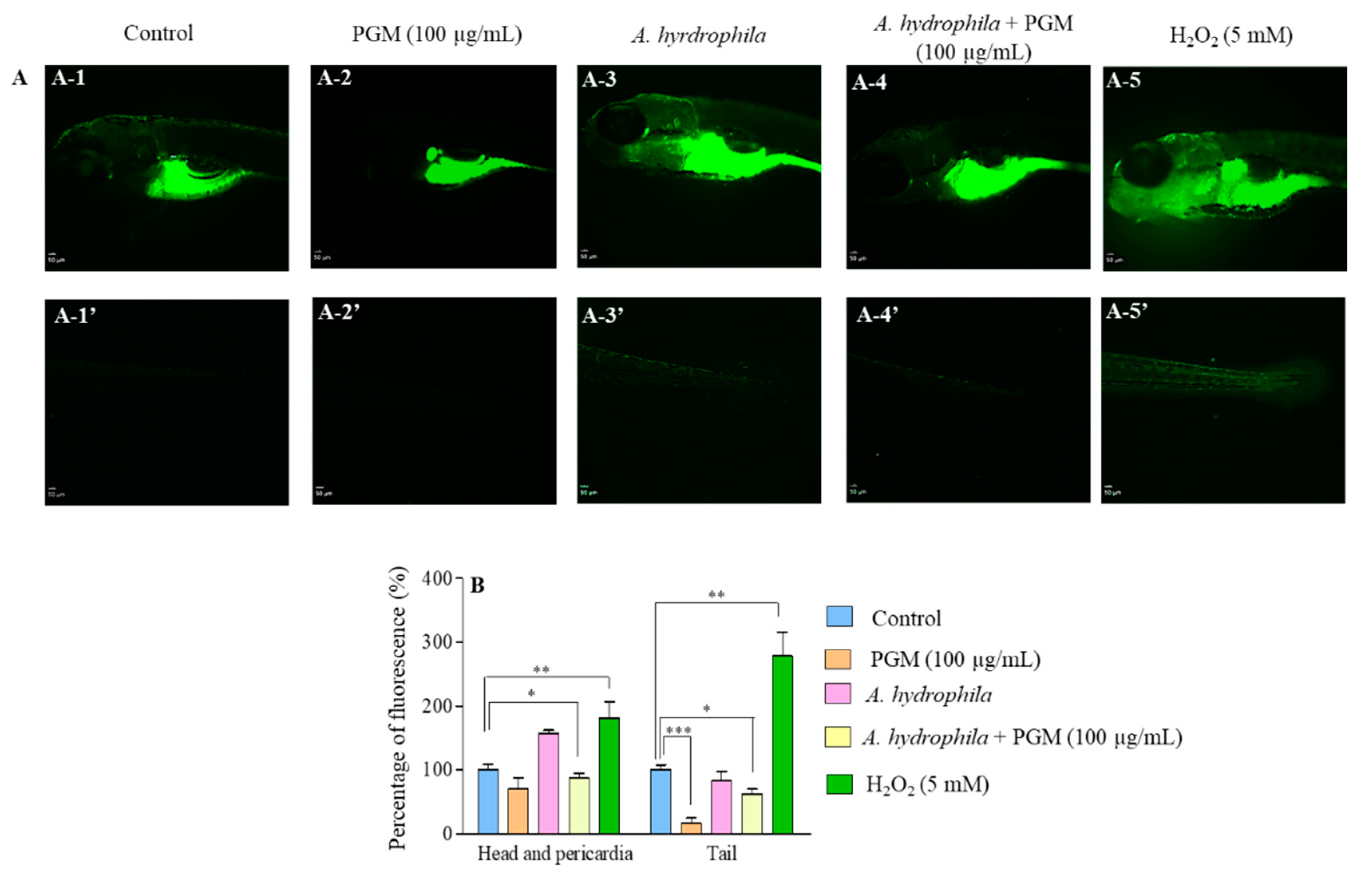 Molecules 25 02981 g004