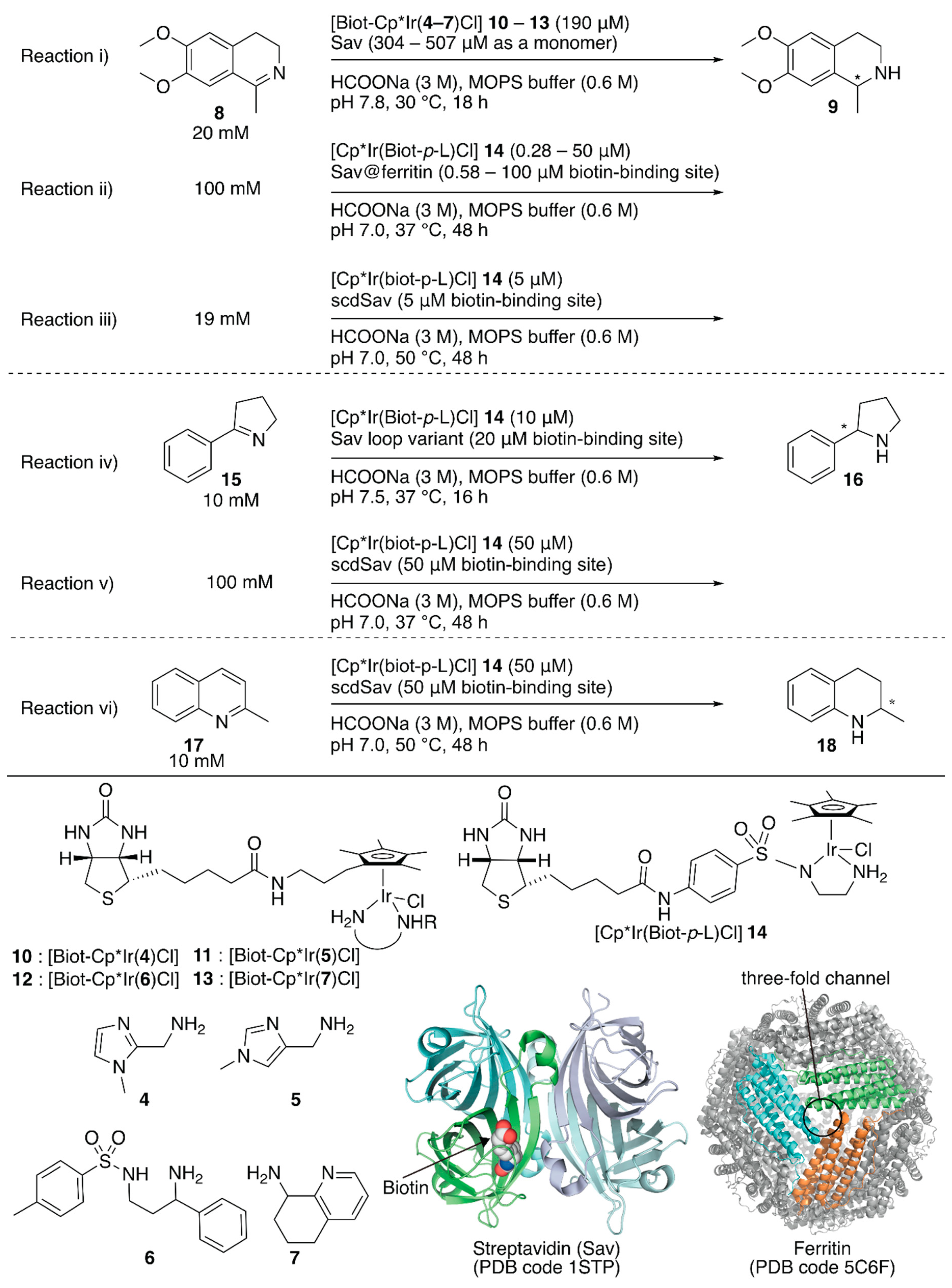 Molecules 25 02989 g002