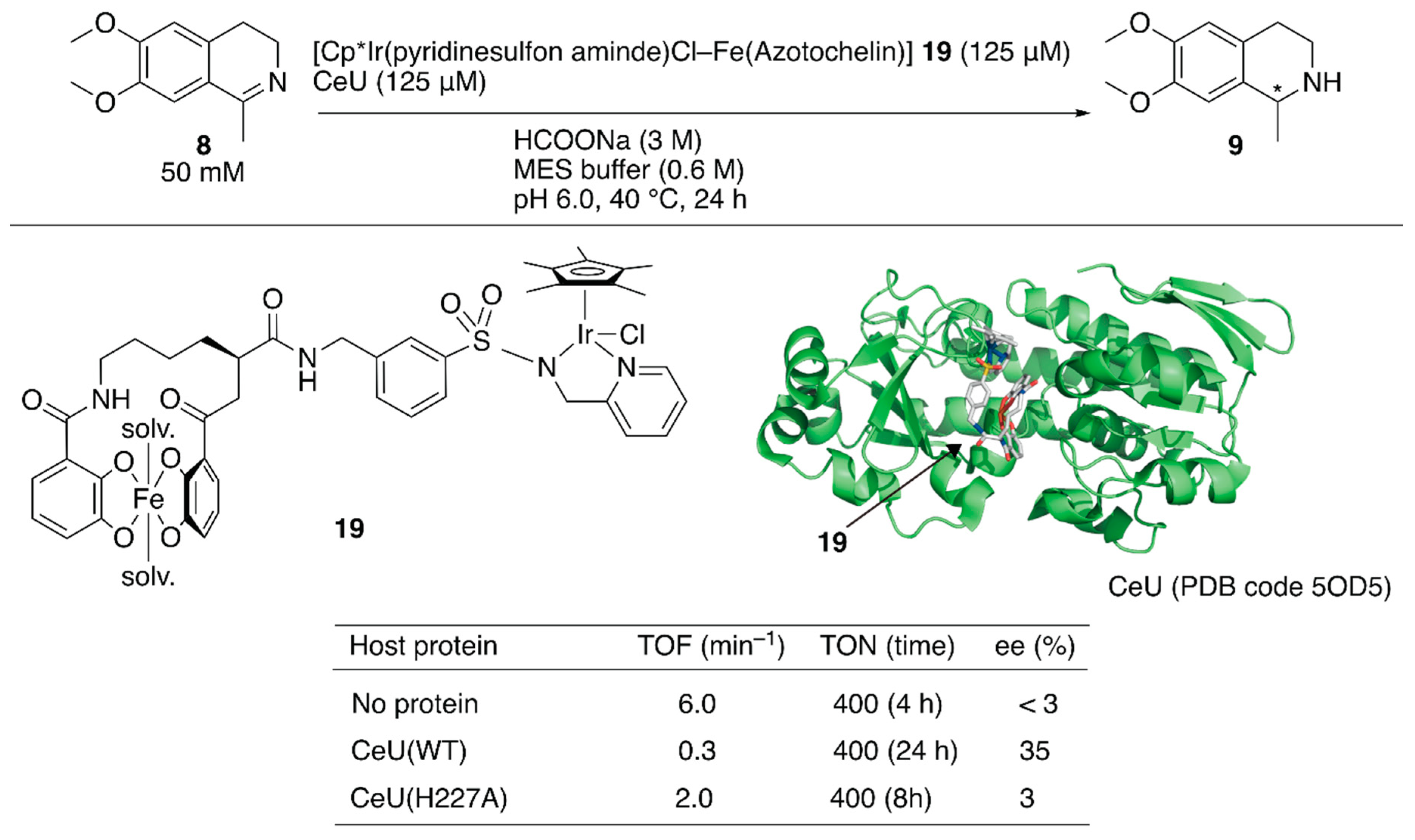 Molecules 25 02989 g003