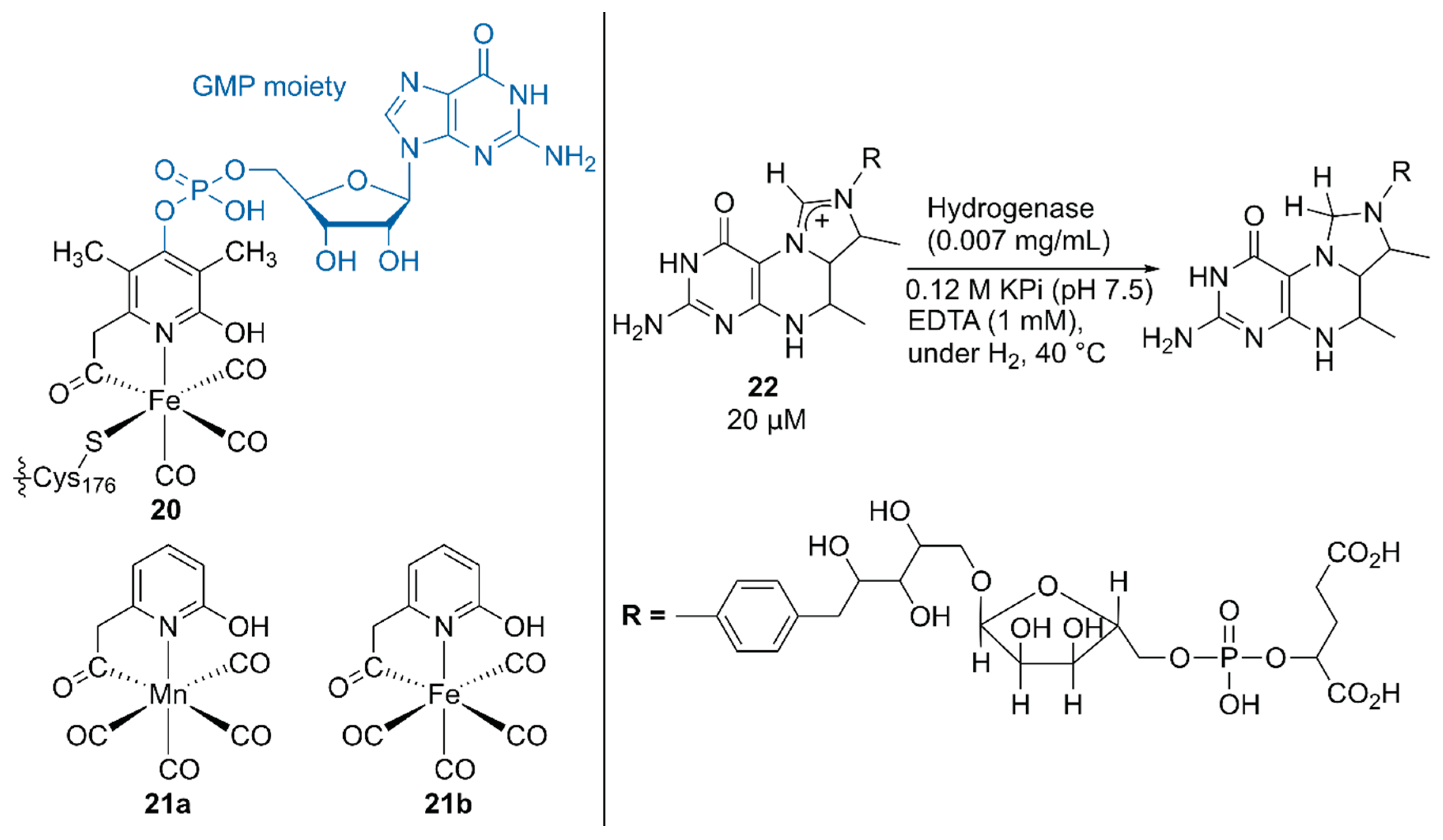 Molecules 25 02989 g004