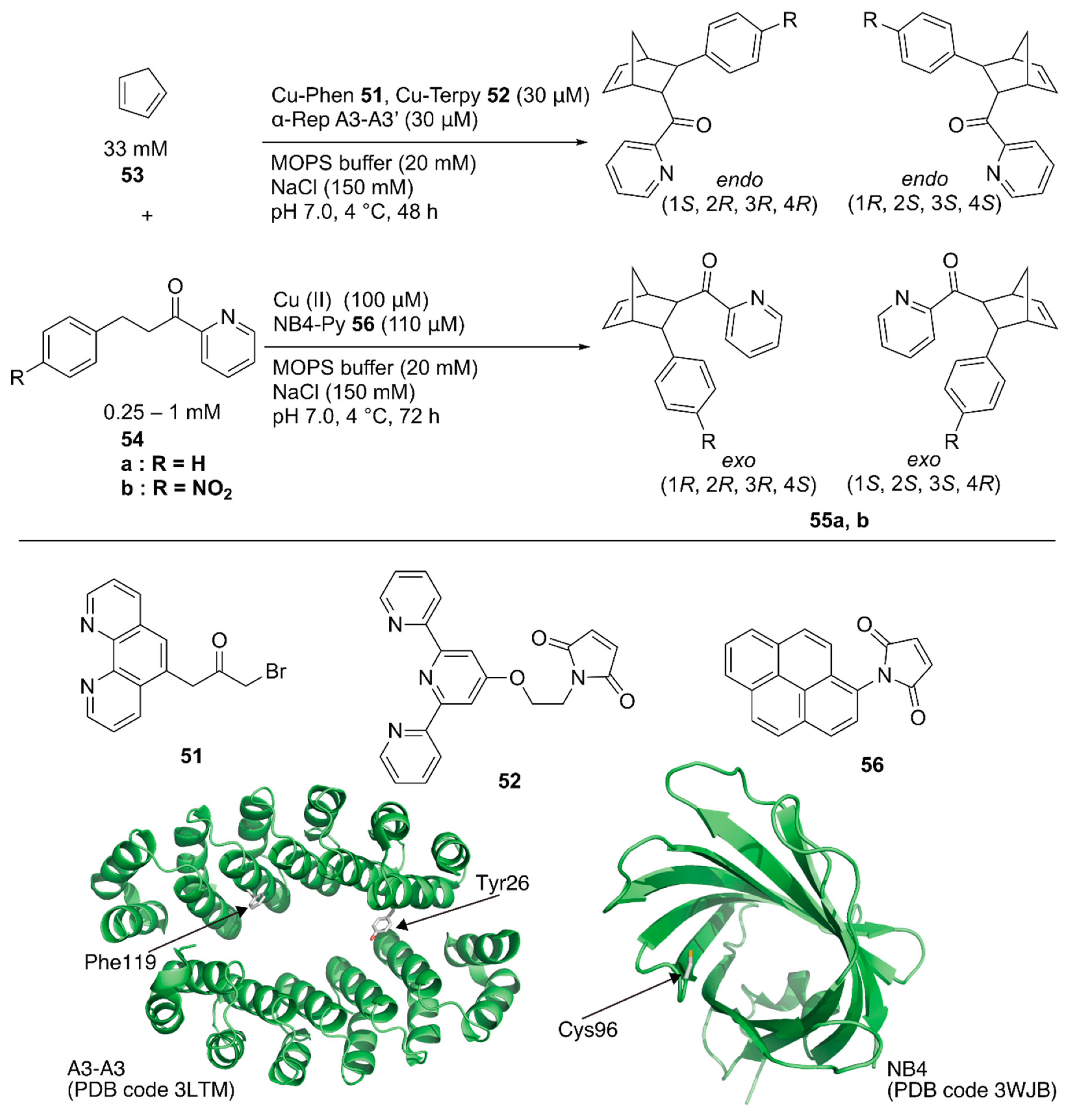 Molecules 25 02989 g010