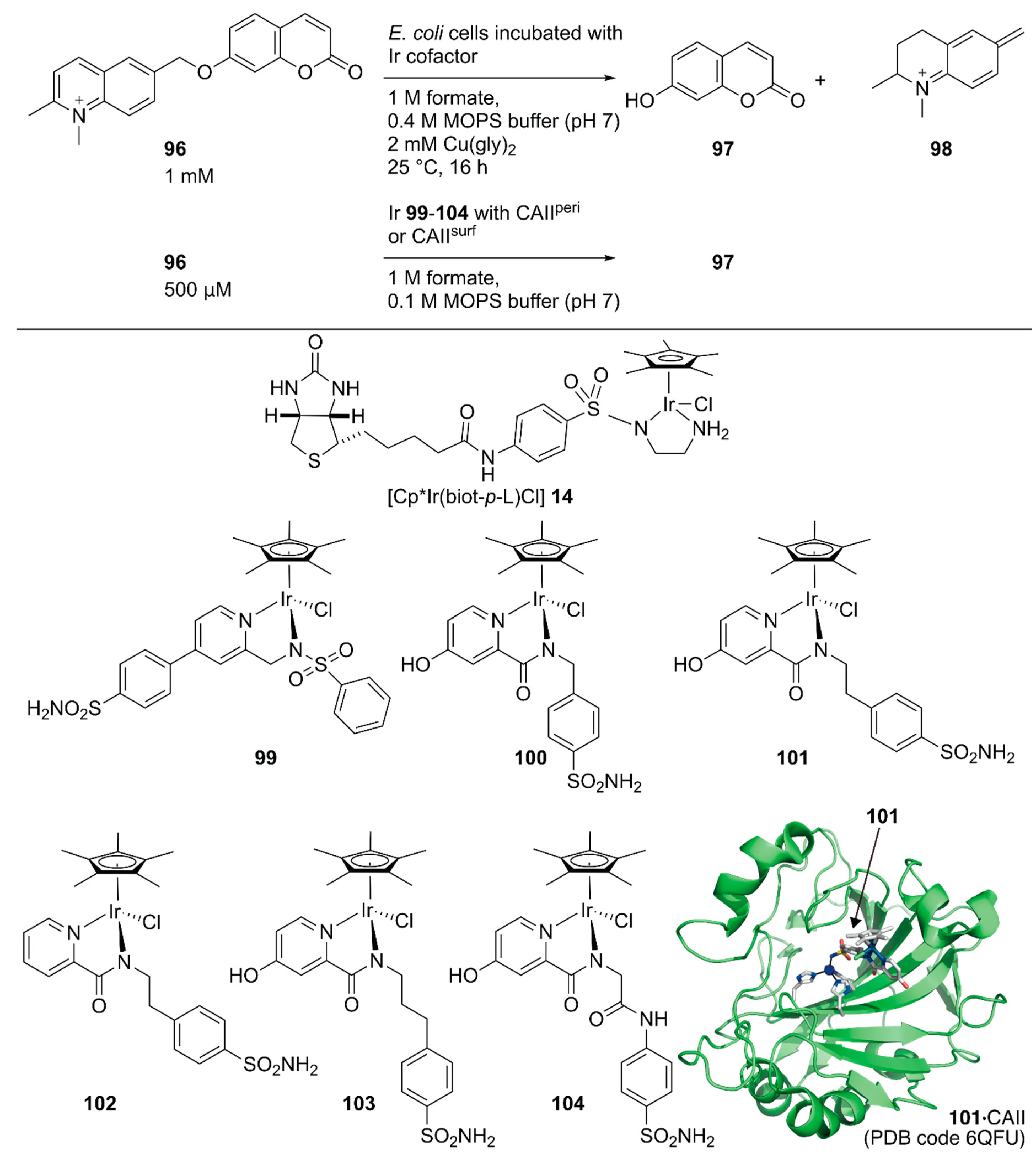 Molecules 25 02989 g019