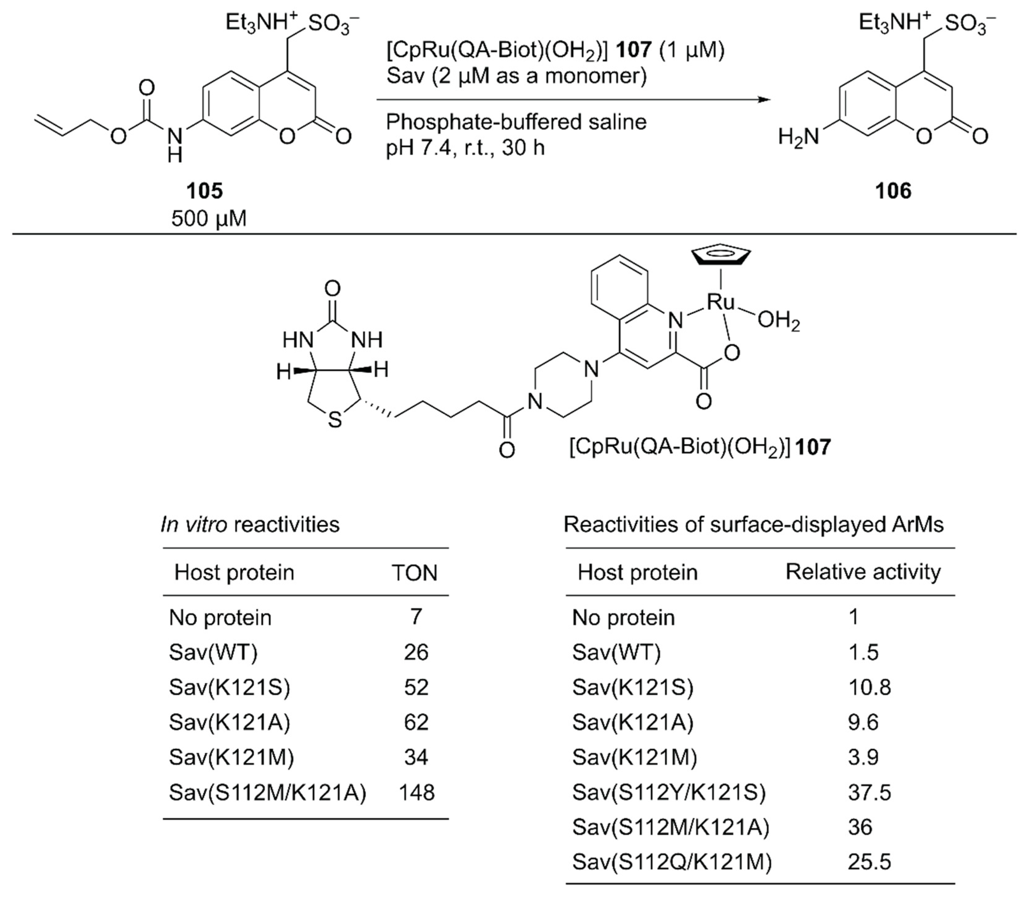 Molecules 25 02989 g020
