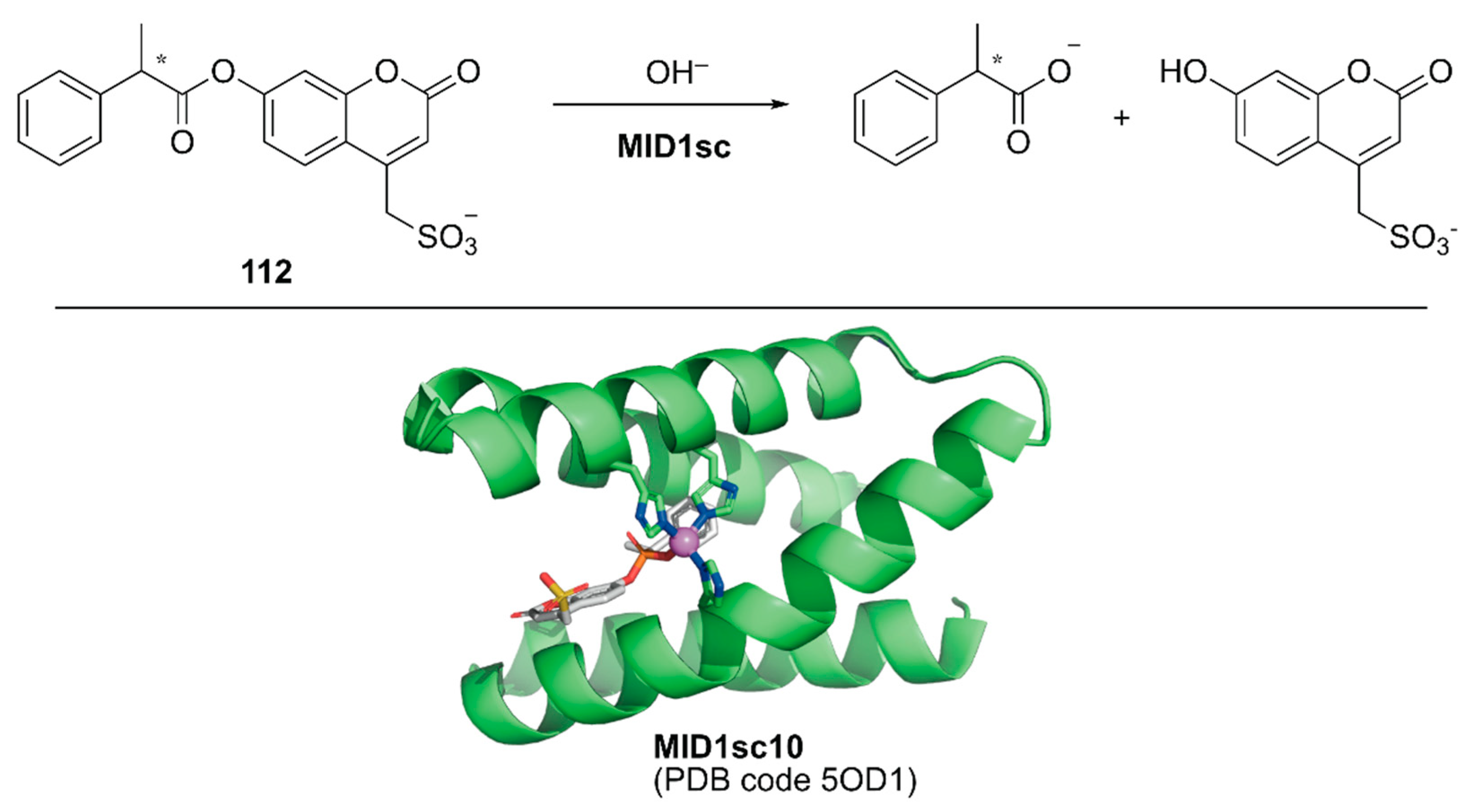 Molecules 25 02989 g022