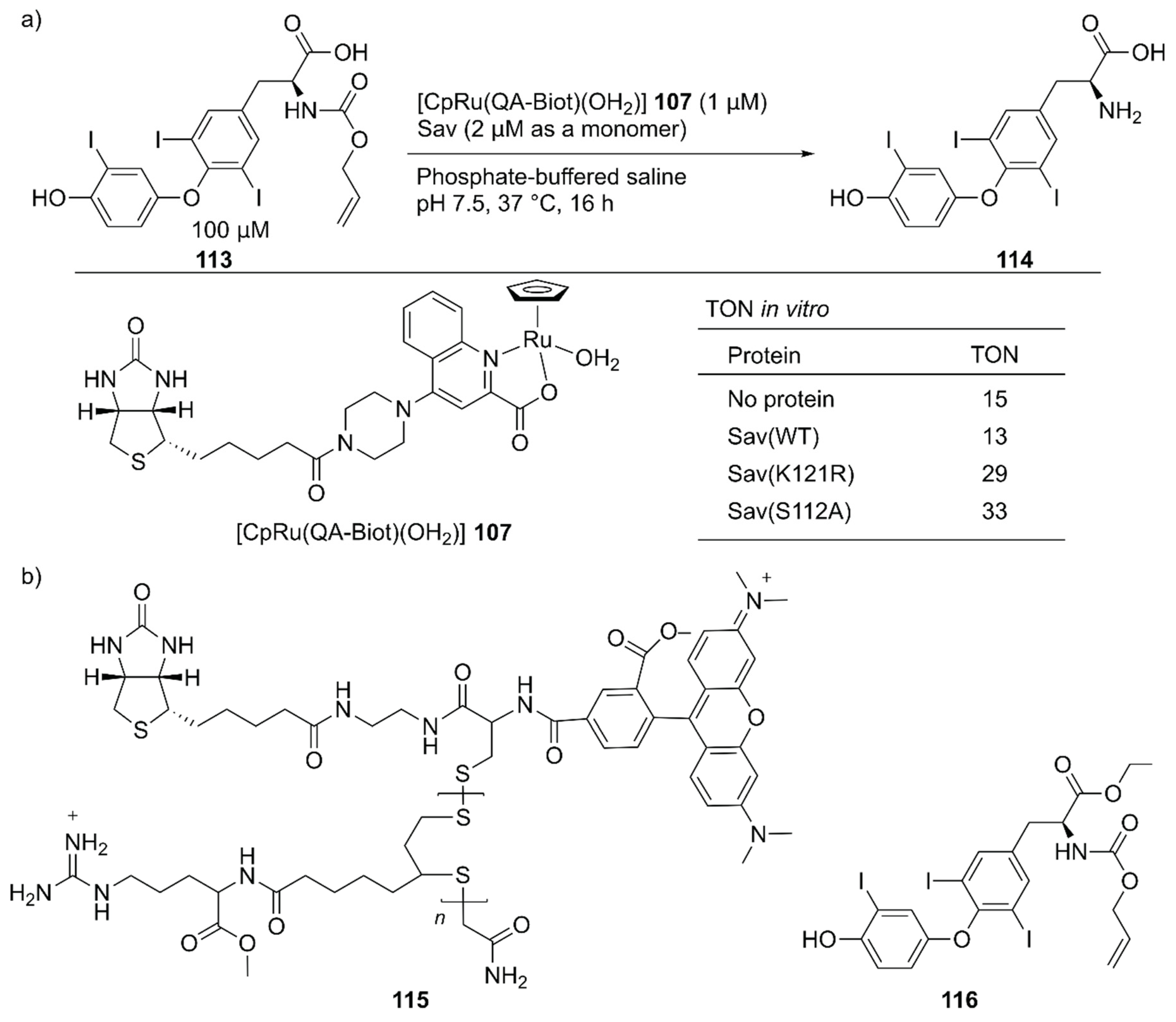 Molecules 25 02989 g023