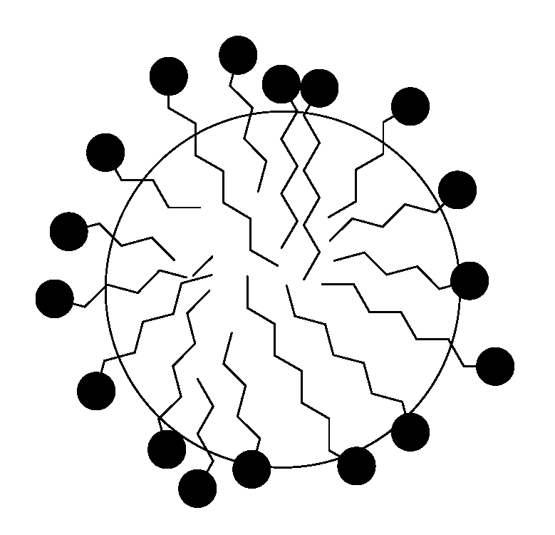 Molecules 25 02990 g012