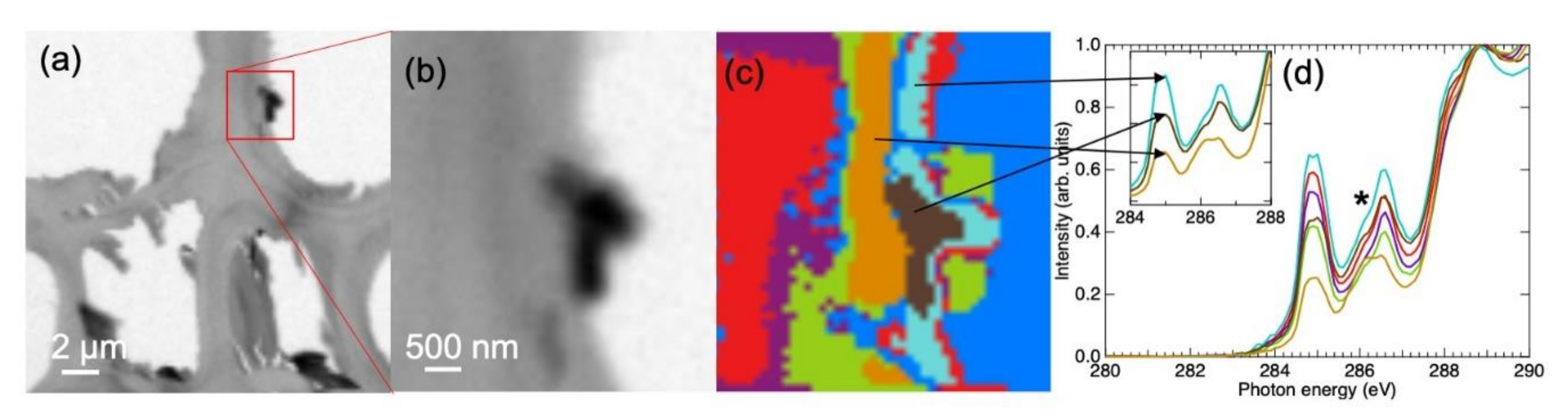 Molecules 25 02997 g003 Molecules 25 02997 g003