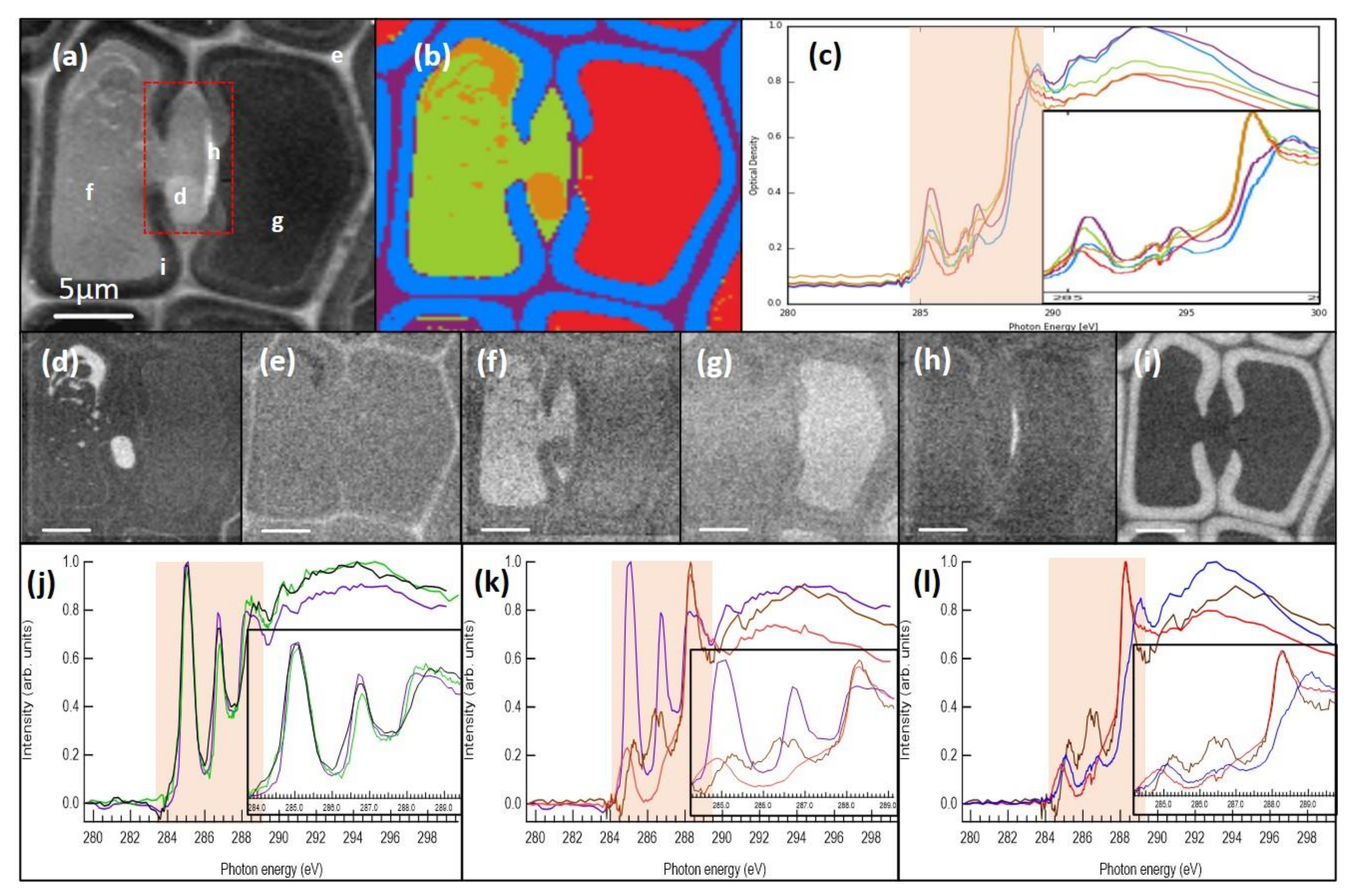 Molecules 25 02997 g004 Molecules 25 02997 g004