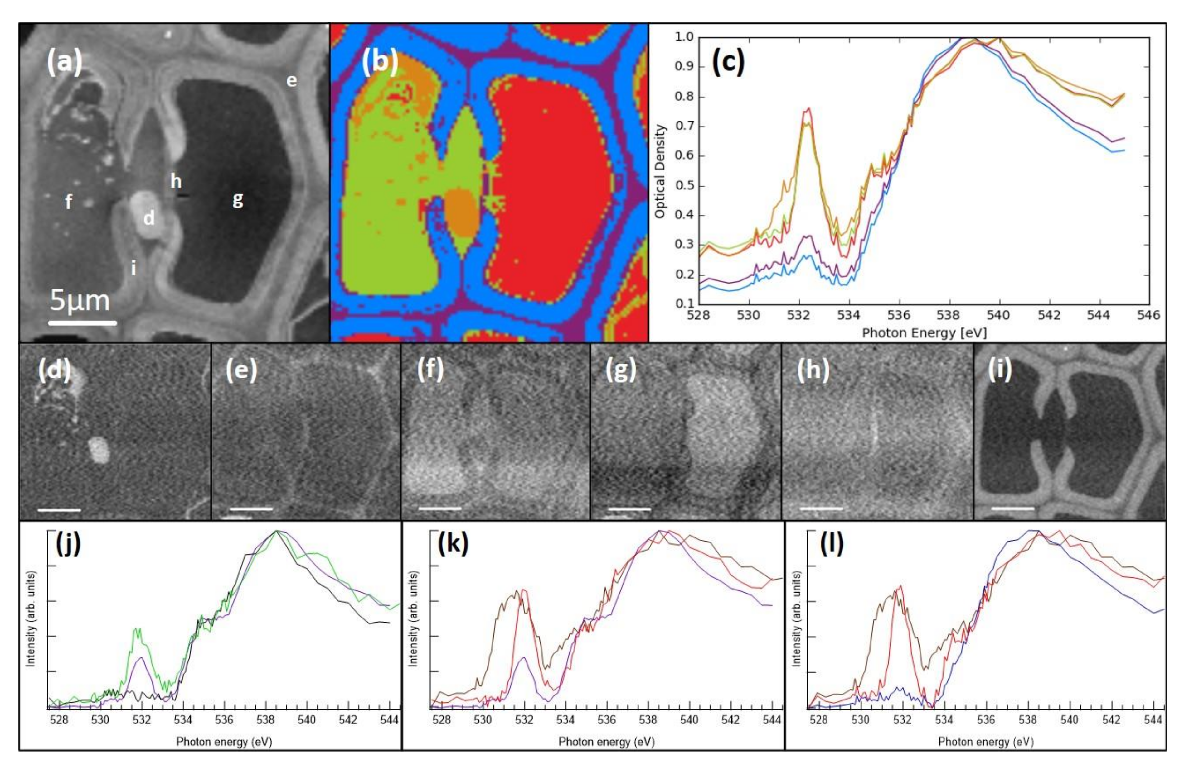 Molecules 25 02997 g005 Molecules 25 02997 g005