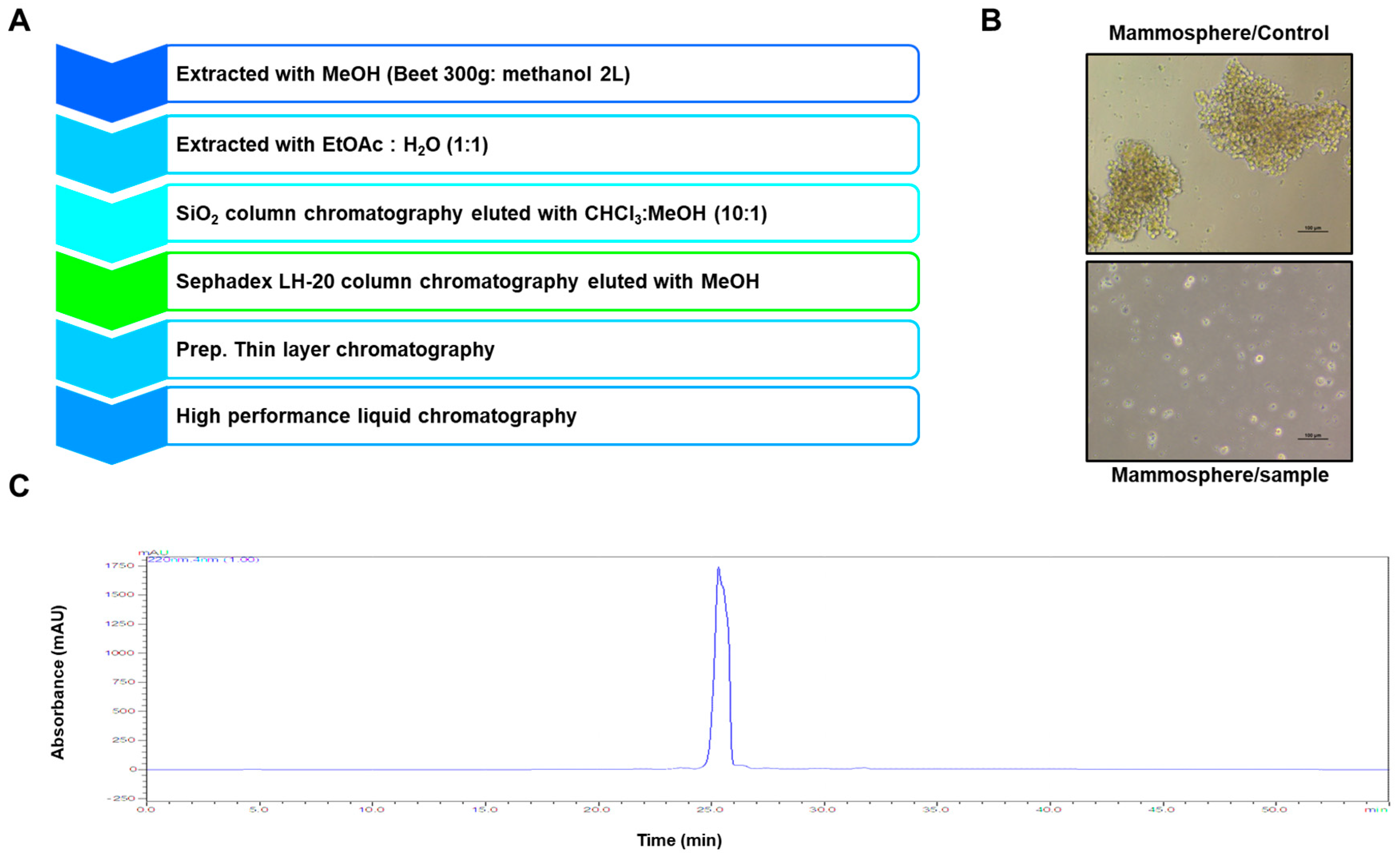 Molecules 25 02999 g001