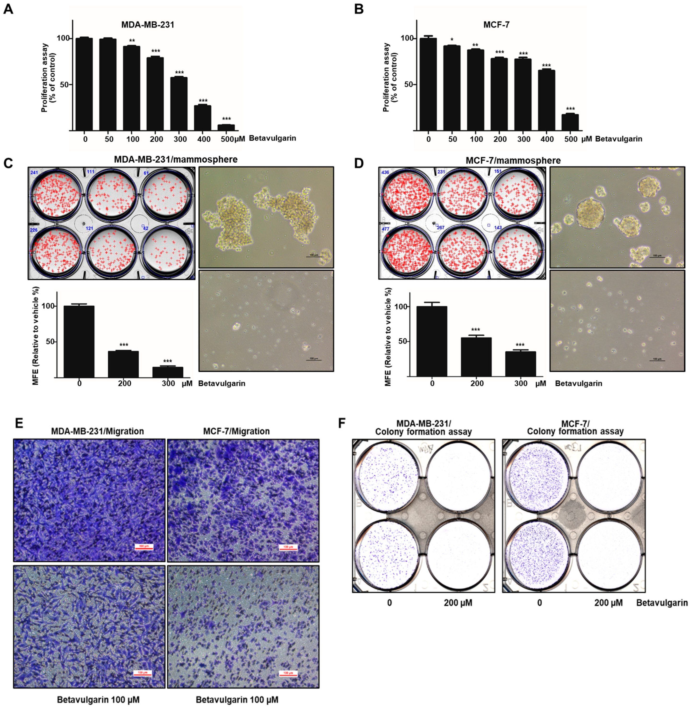 Molecules 25 02999 g003