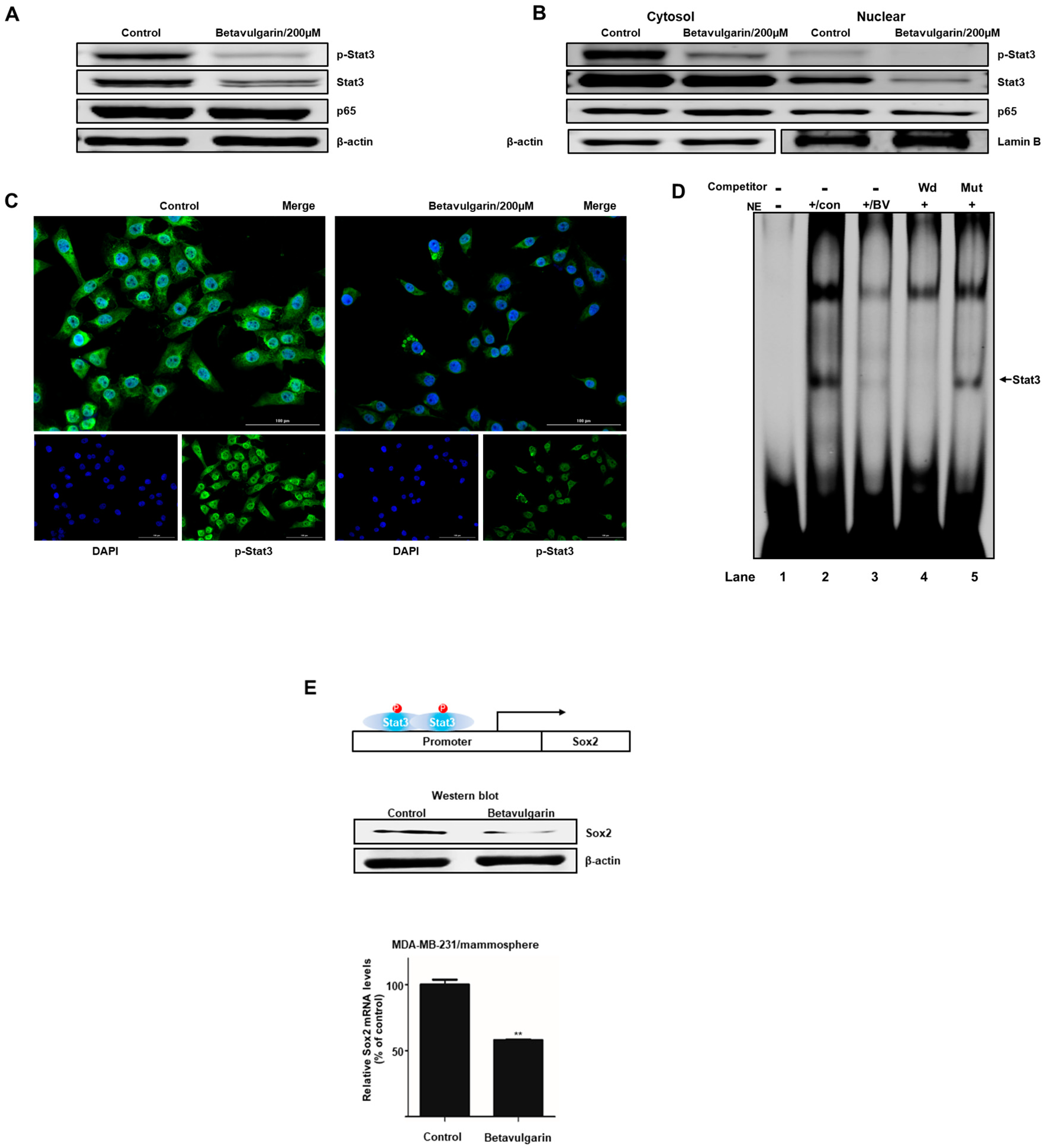 Molecules 25 02999 g005