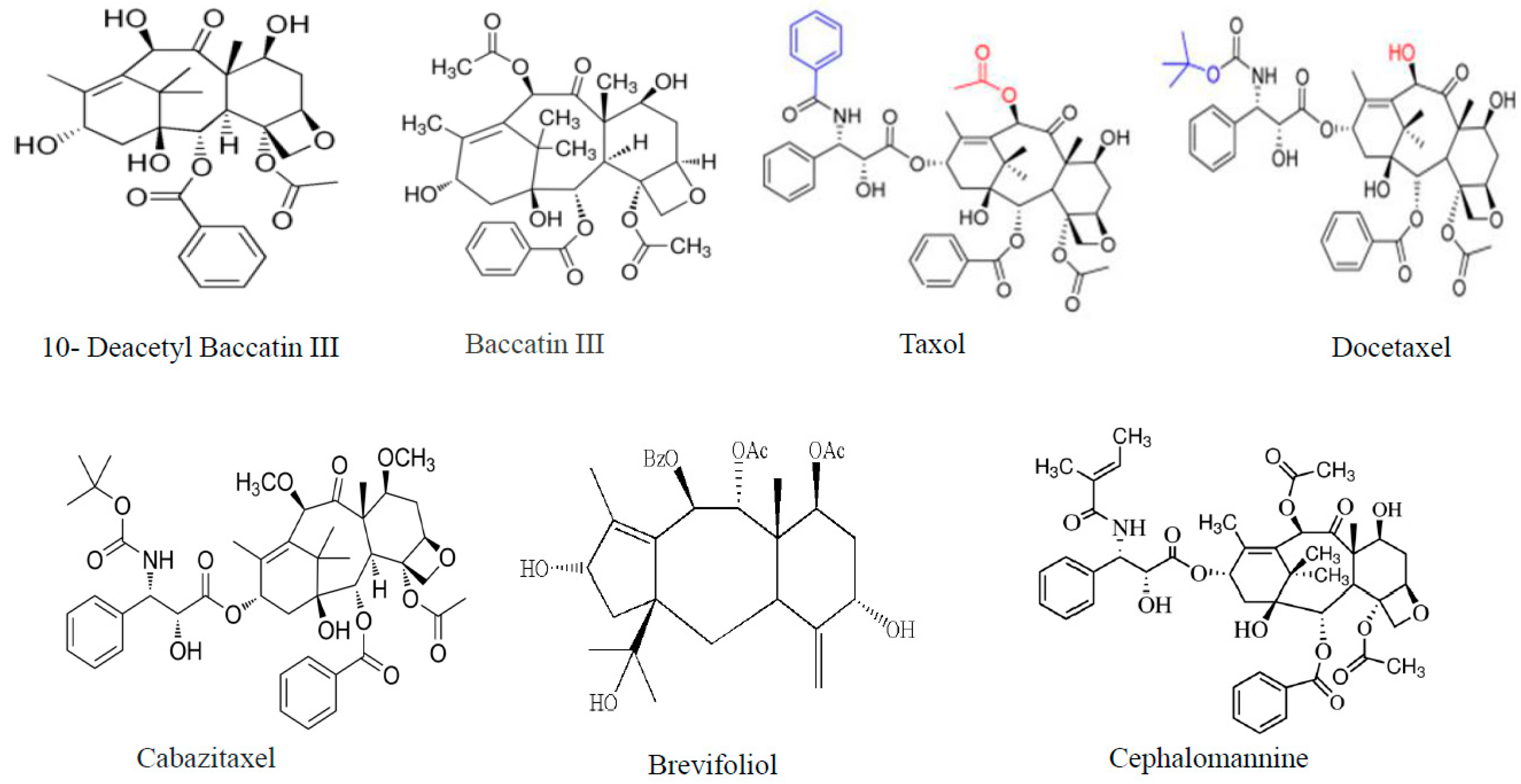 Molecules 25 03000 g001