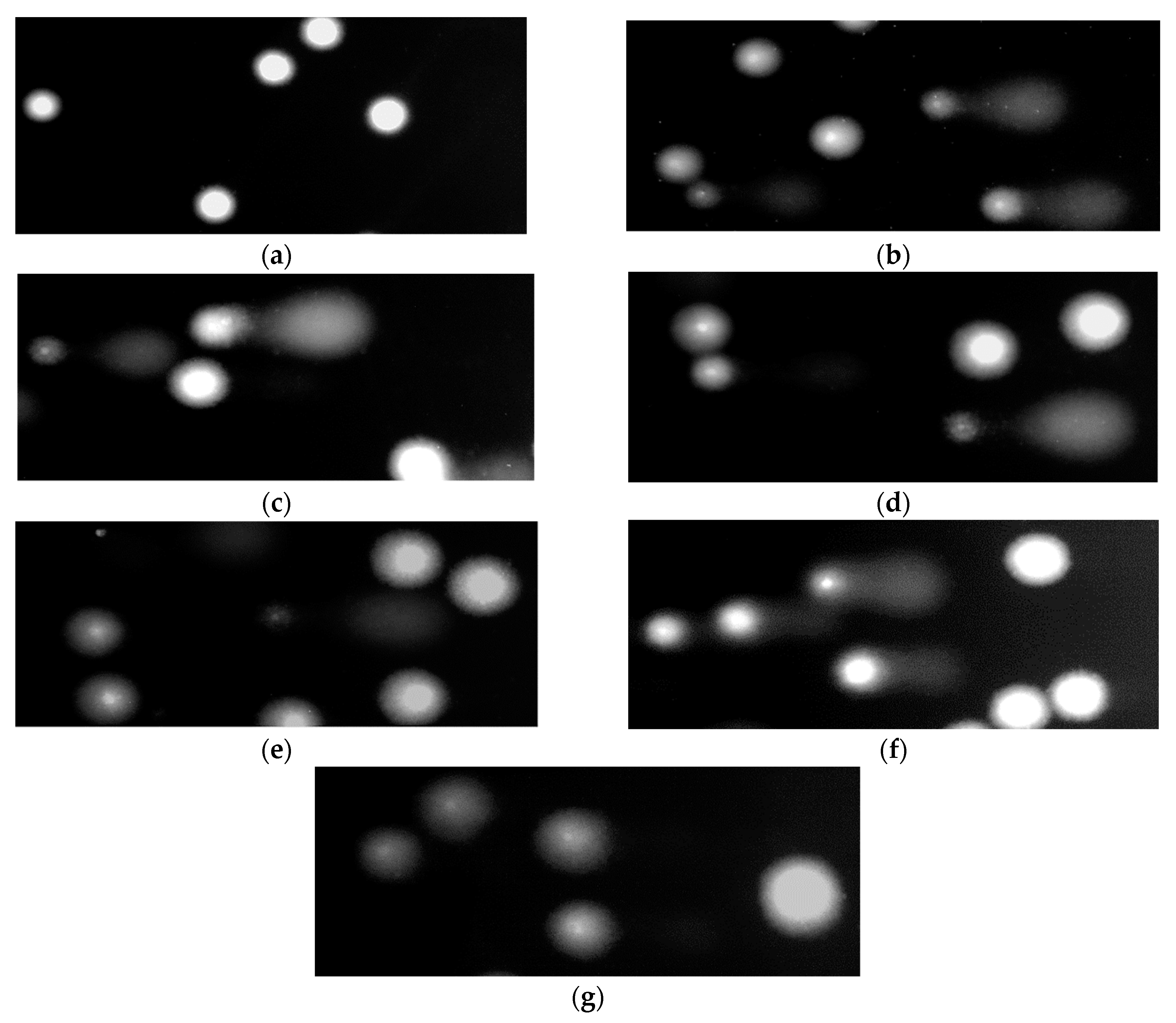 Molecules 25 03004 g003