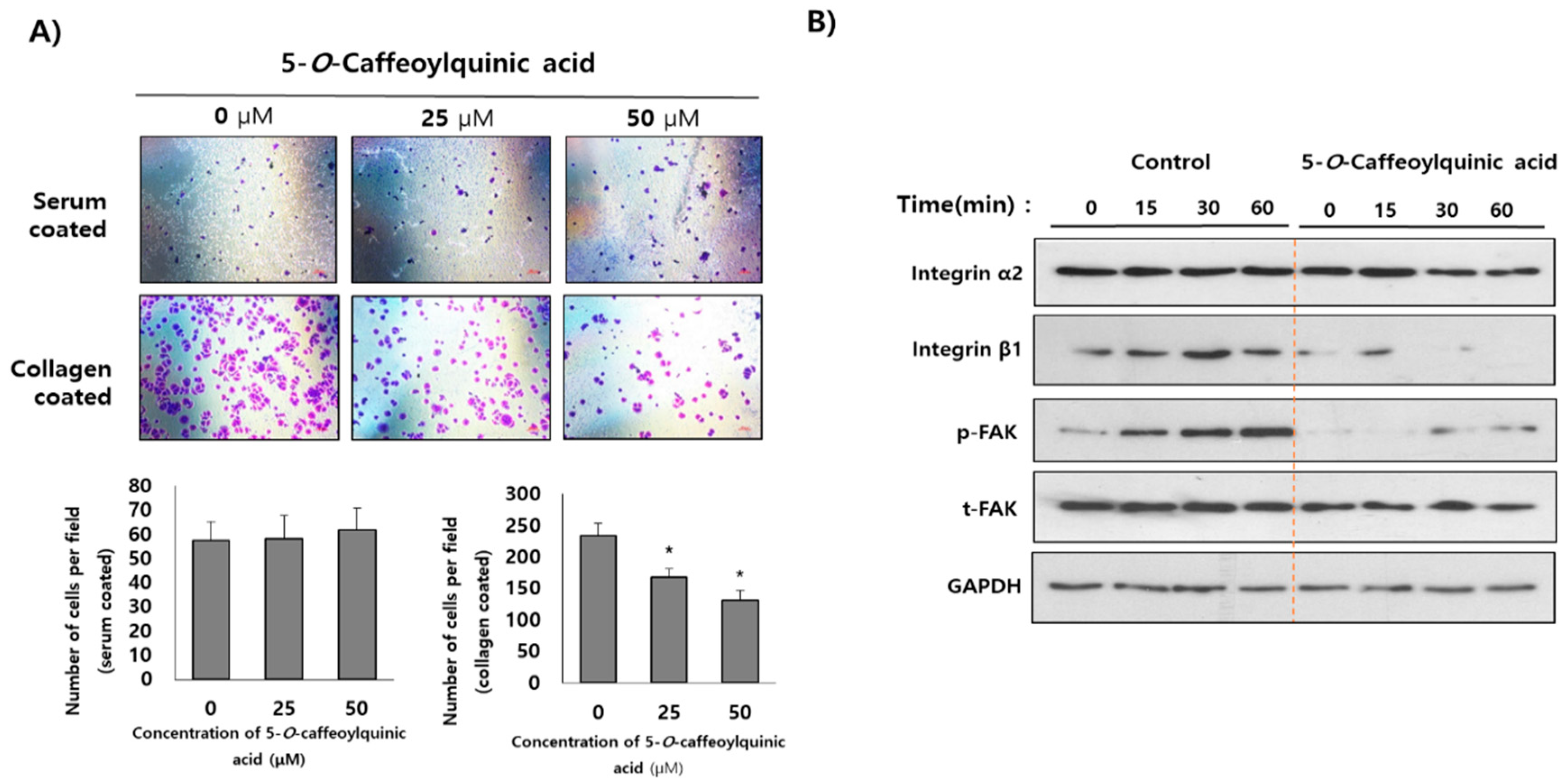 Molecules 25 03006 g007