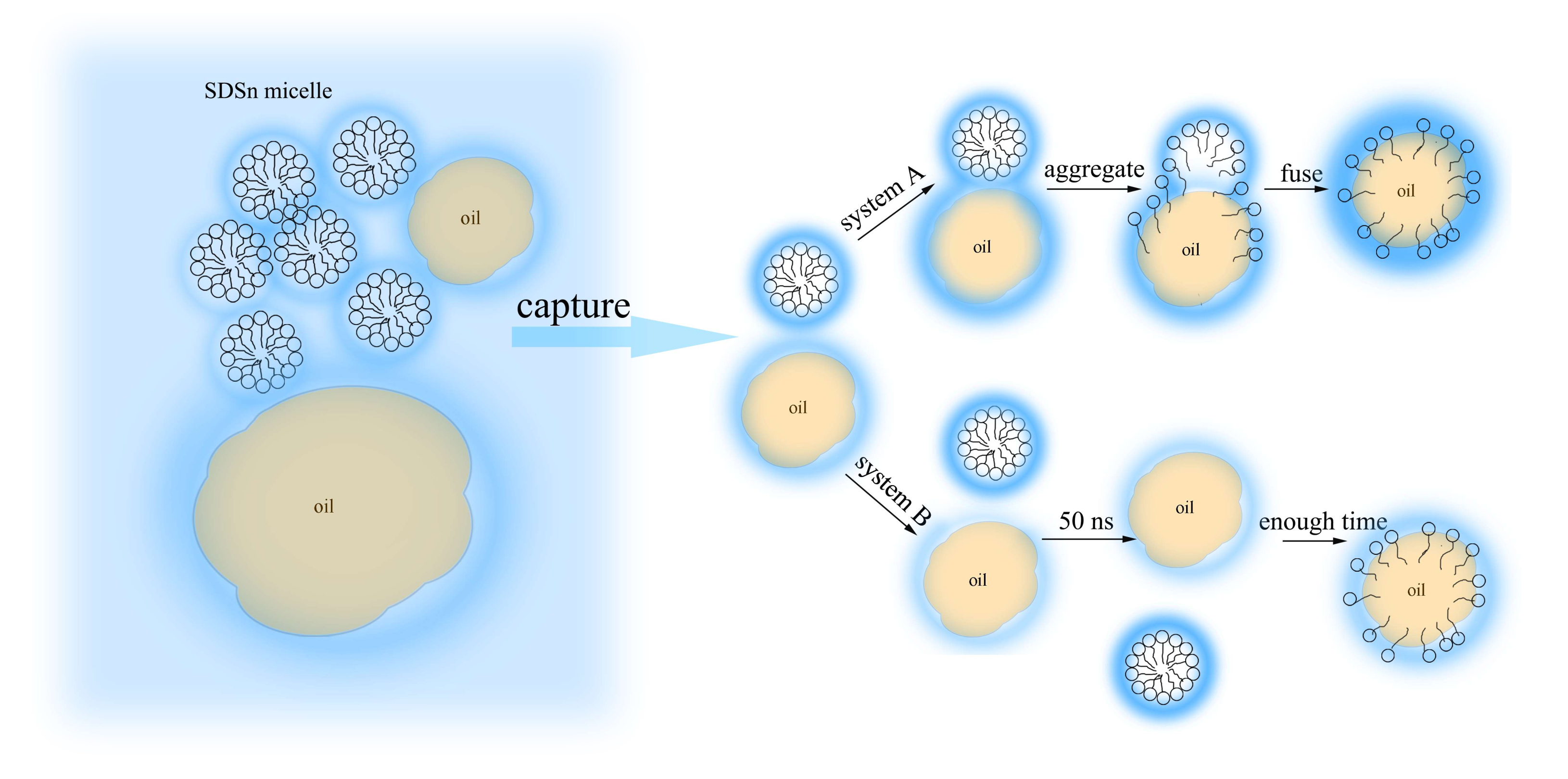 Molecules 25 03008 g013