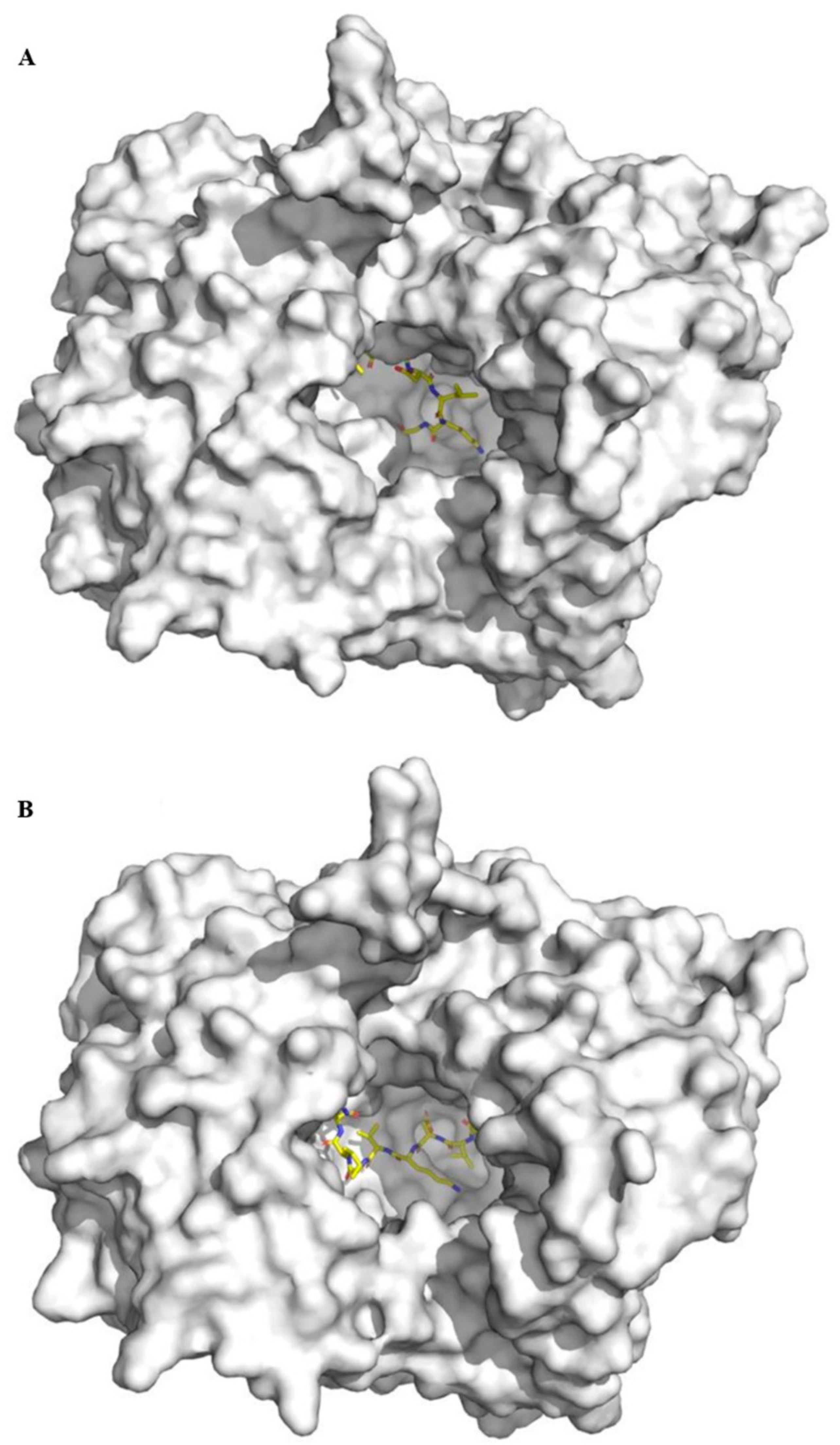 Molecules 25 03009 g006