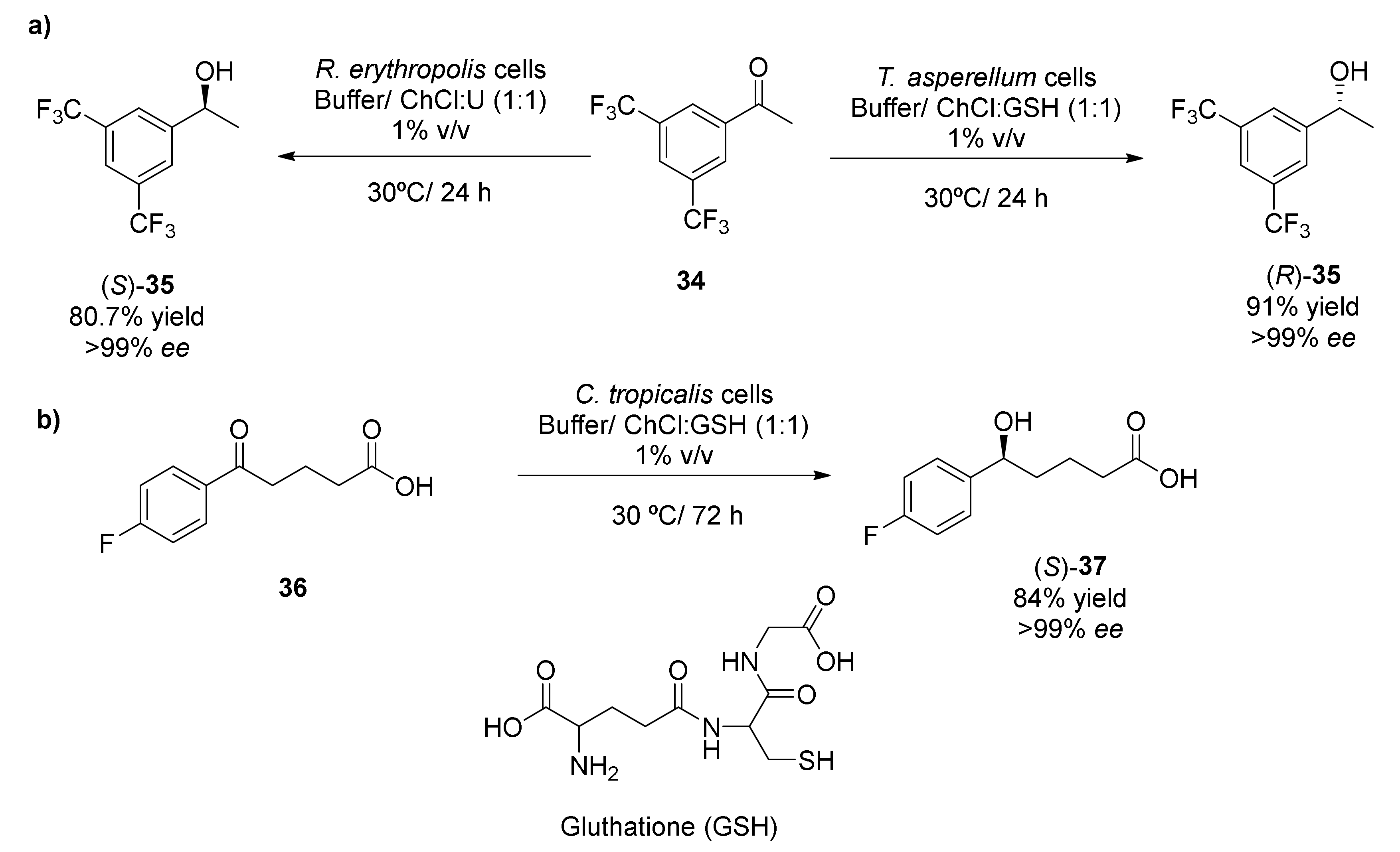 Molecules 25 03016 sch014