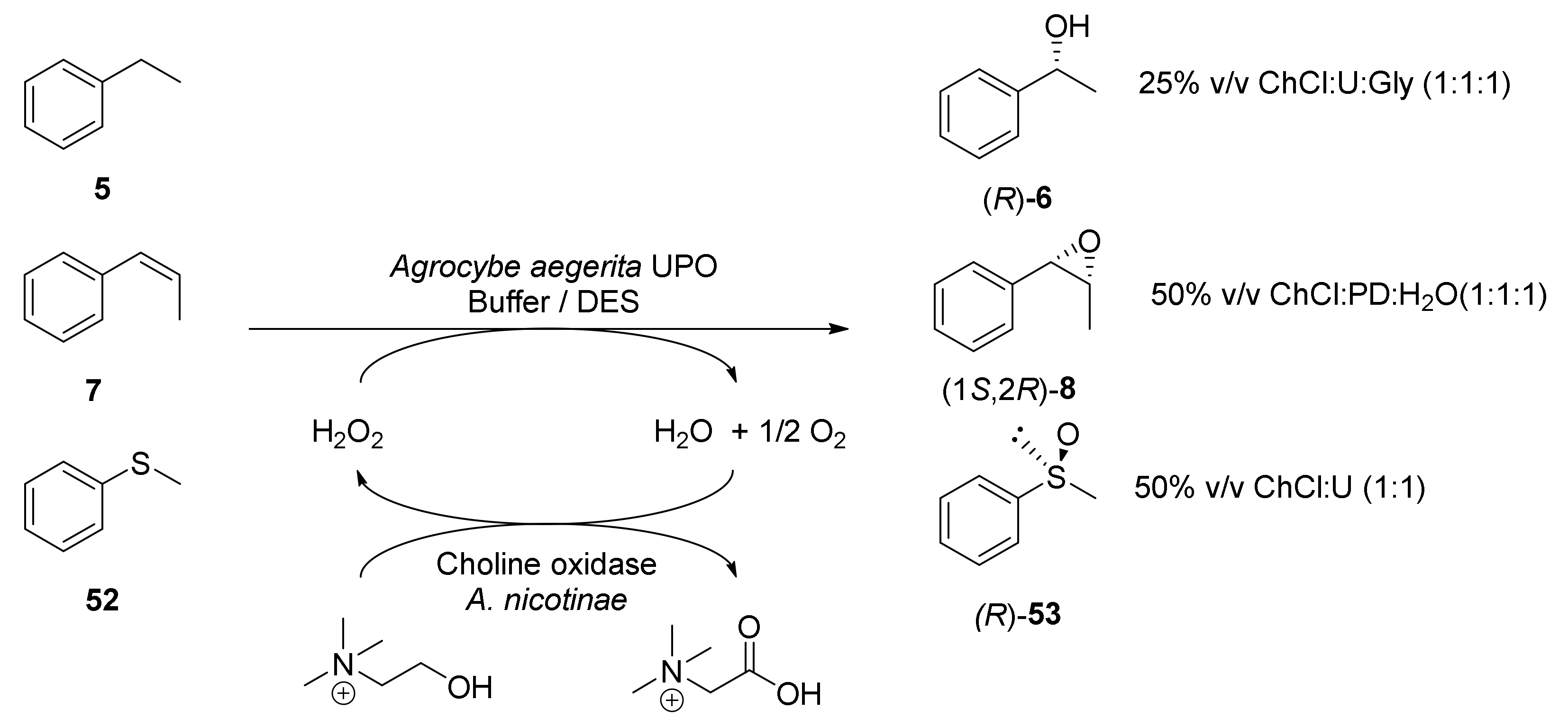 Molecules 25 03016 sch021
