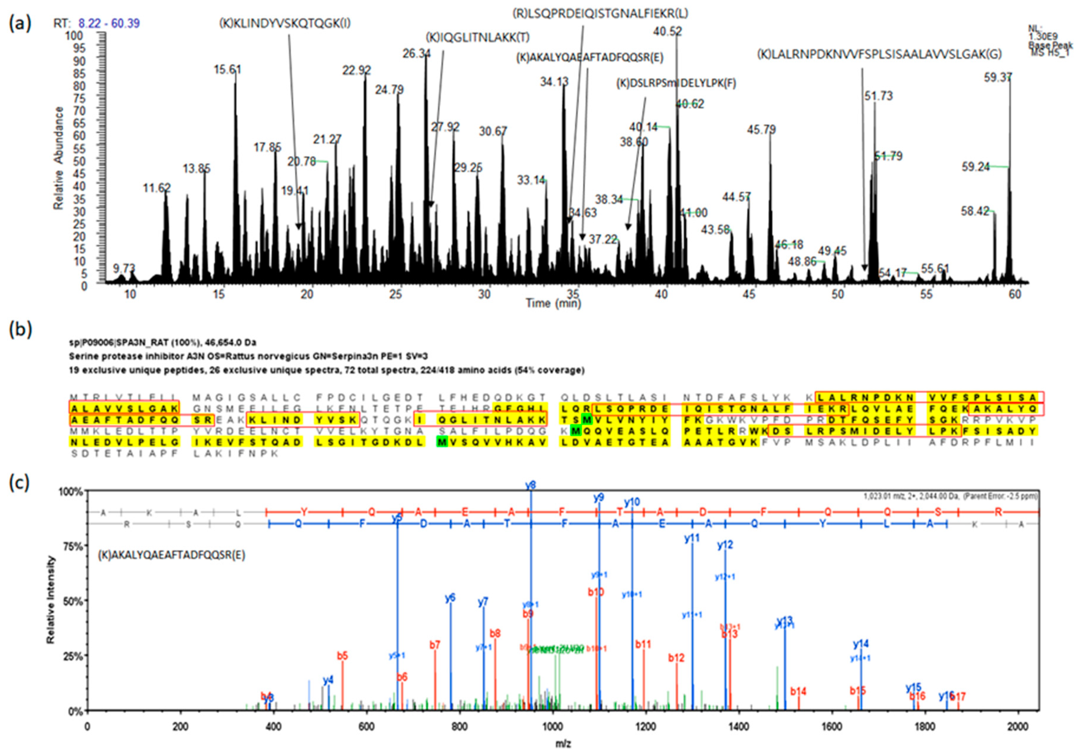 Molecules 25 03019 g001