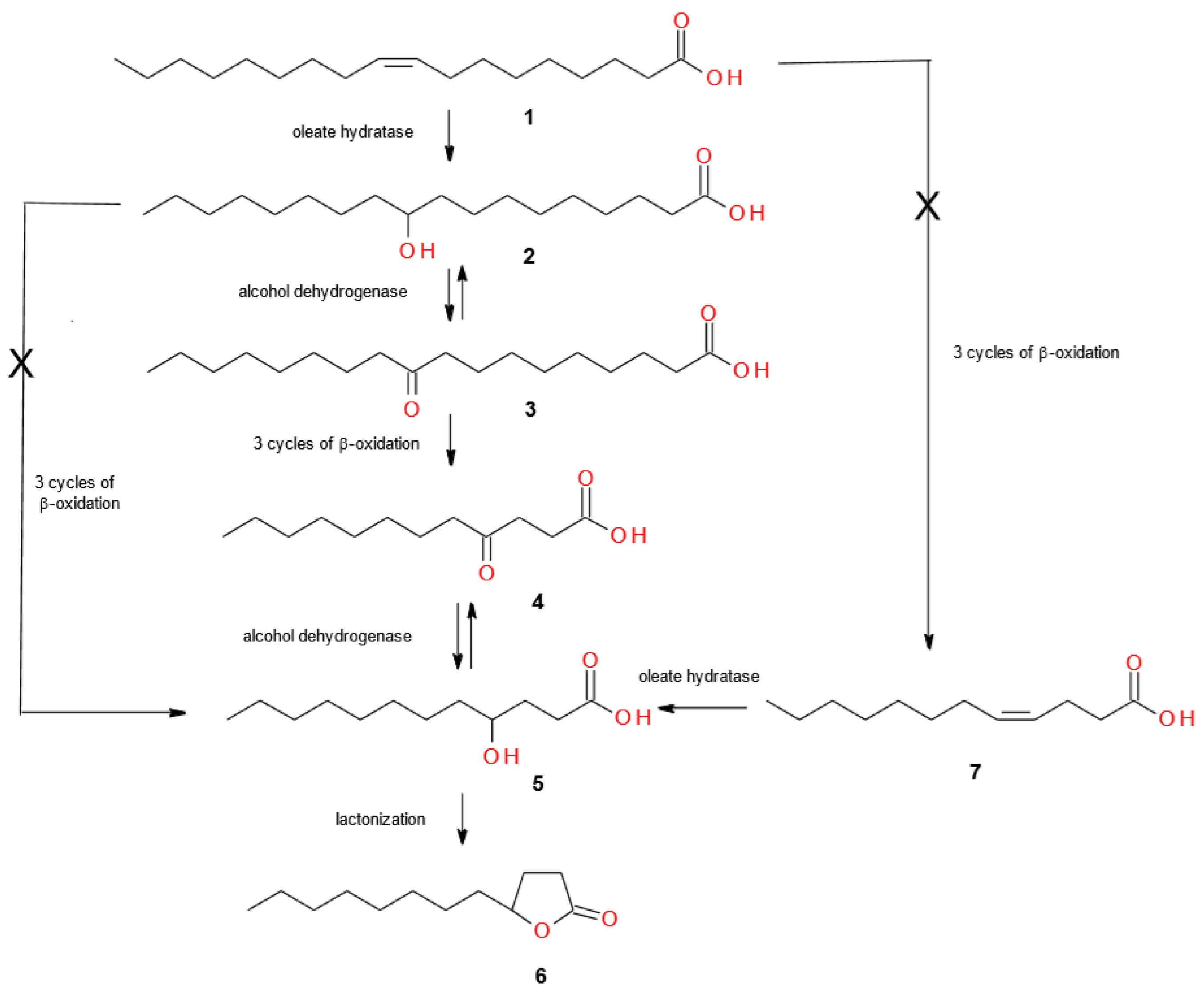 Molecules 25 03024 sch001