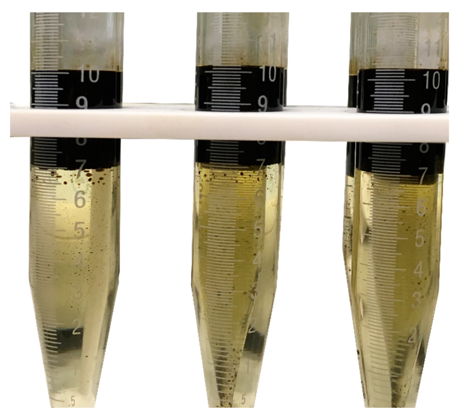 Molecules 25 03030 g006