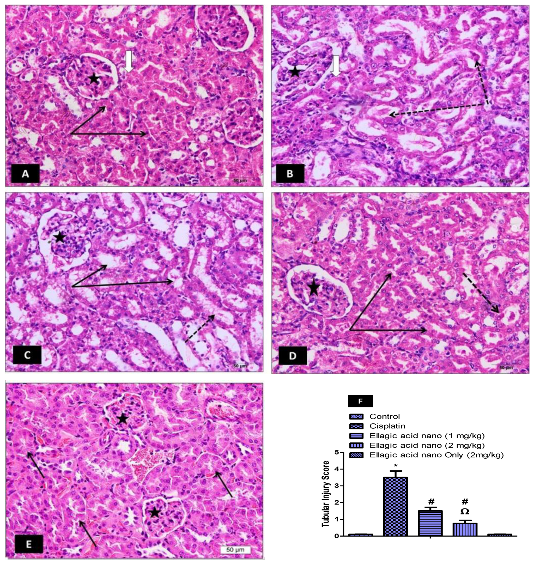Molecules 25 03031 g001