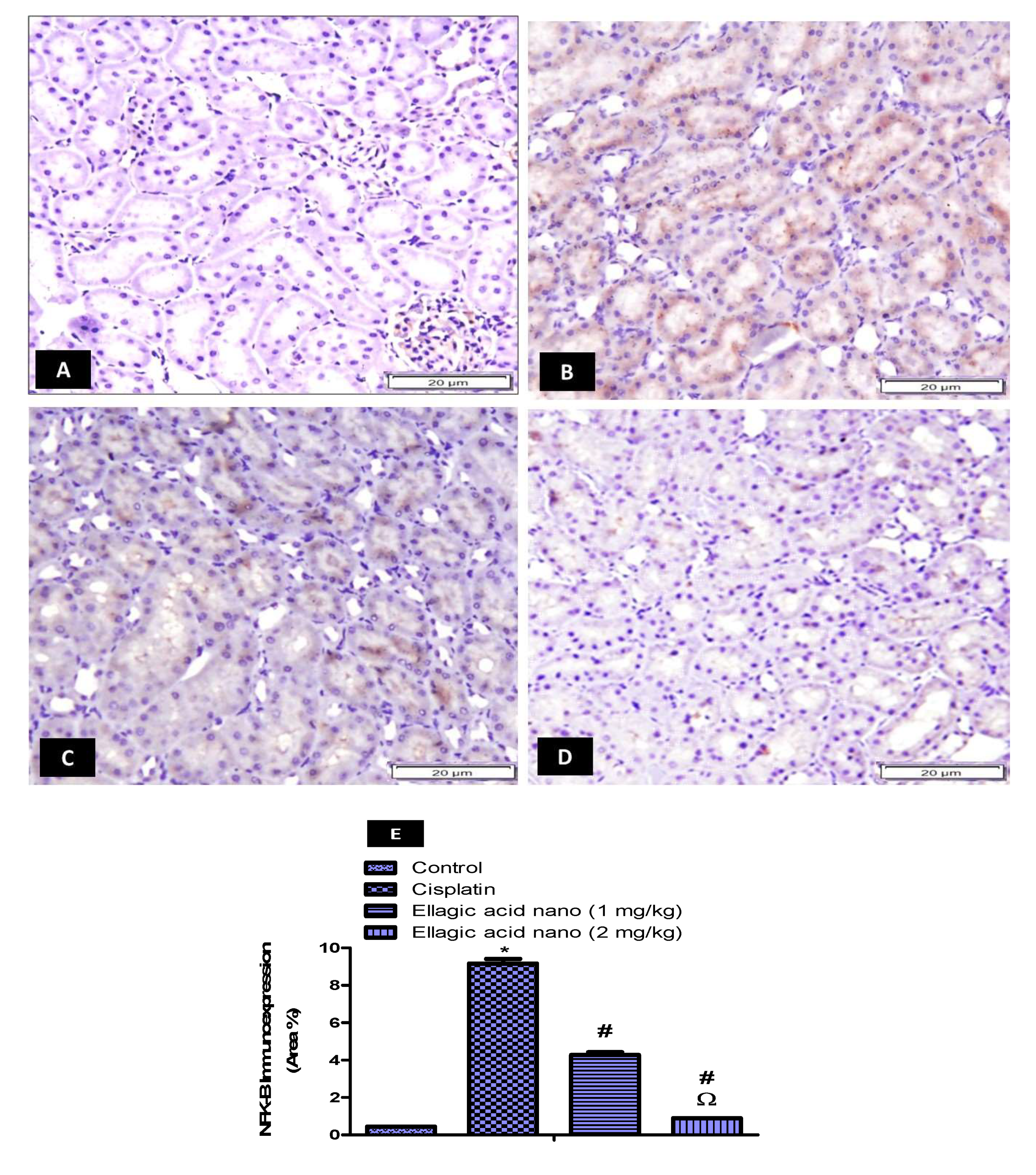 Molecules 25 03031 g004