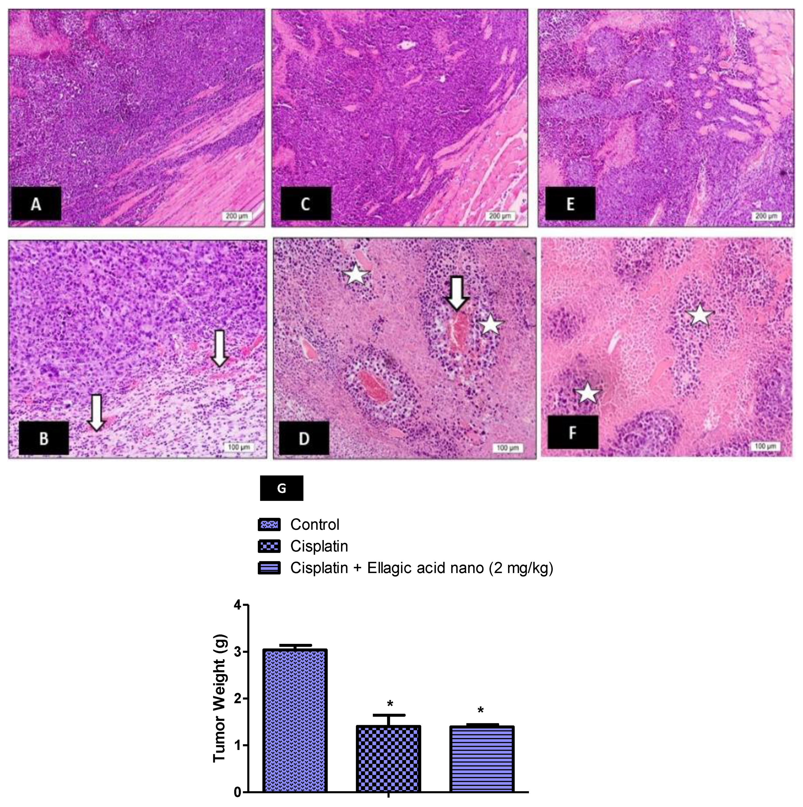Molecules 25 03031 g006