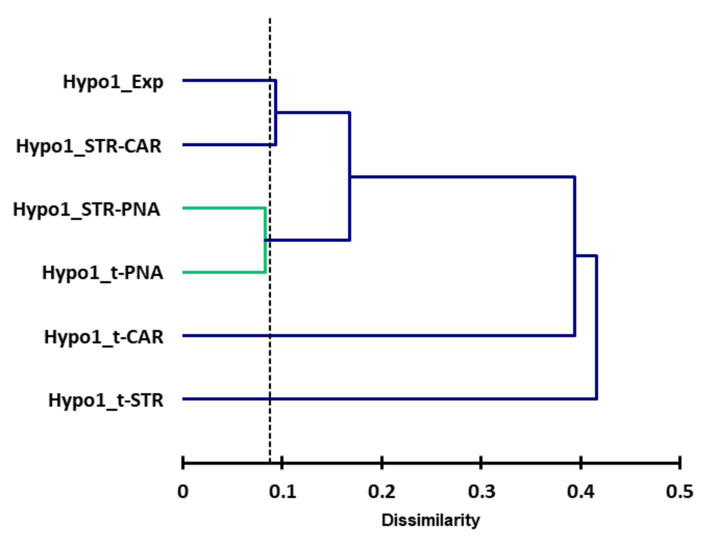 Molecules 25 03032 g009