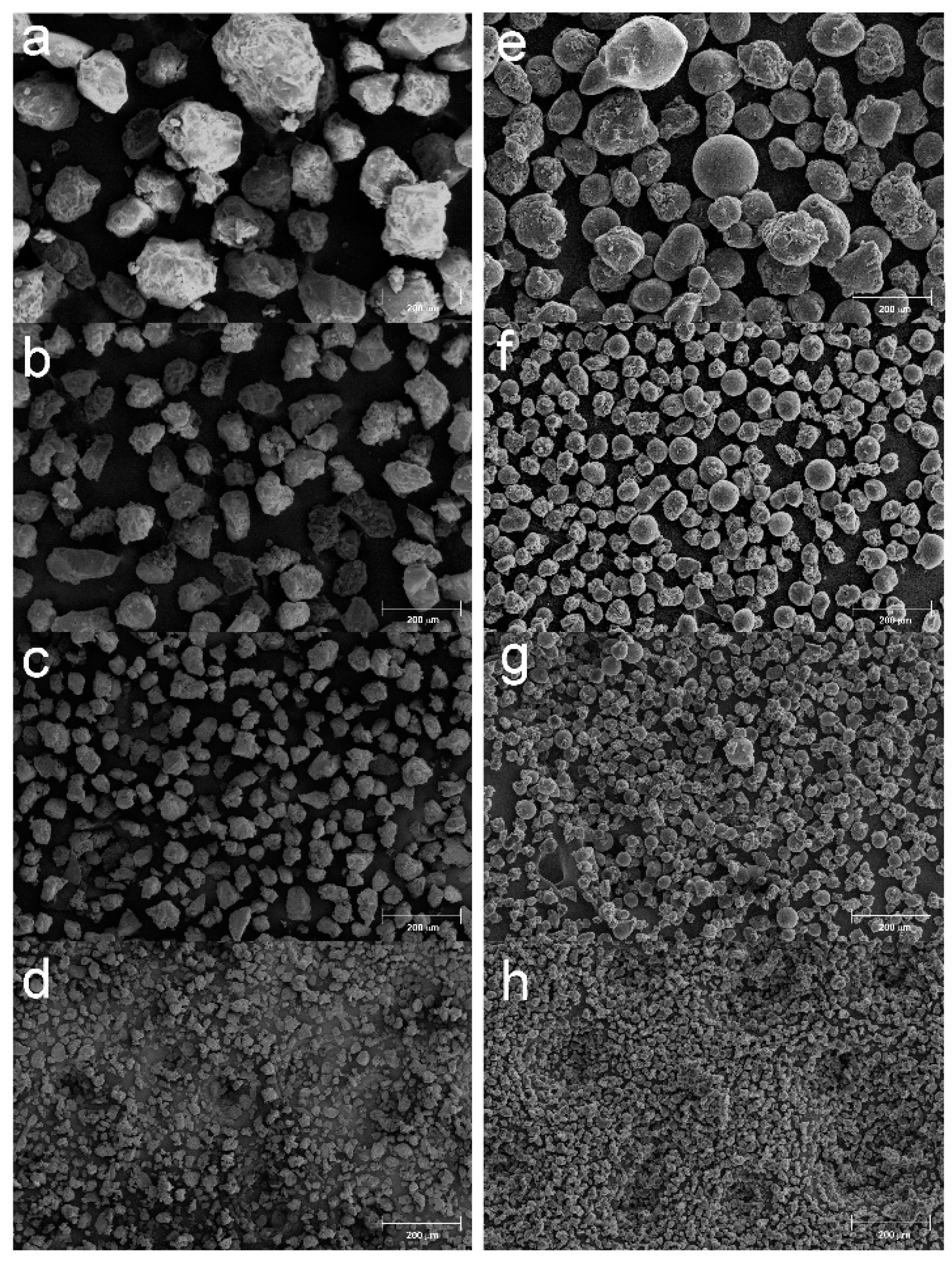Molecules 25 03034 g001