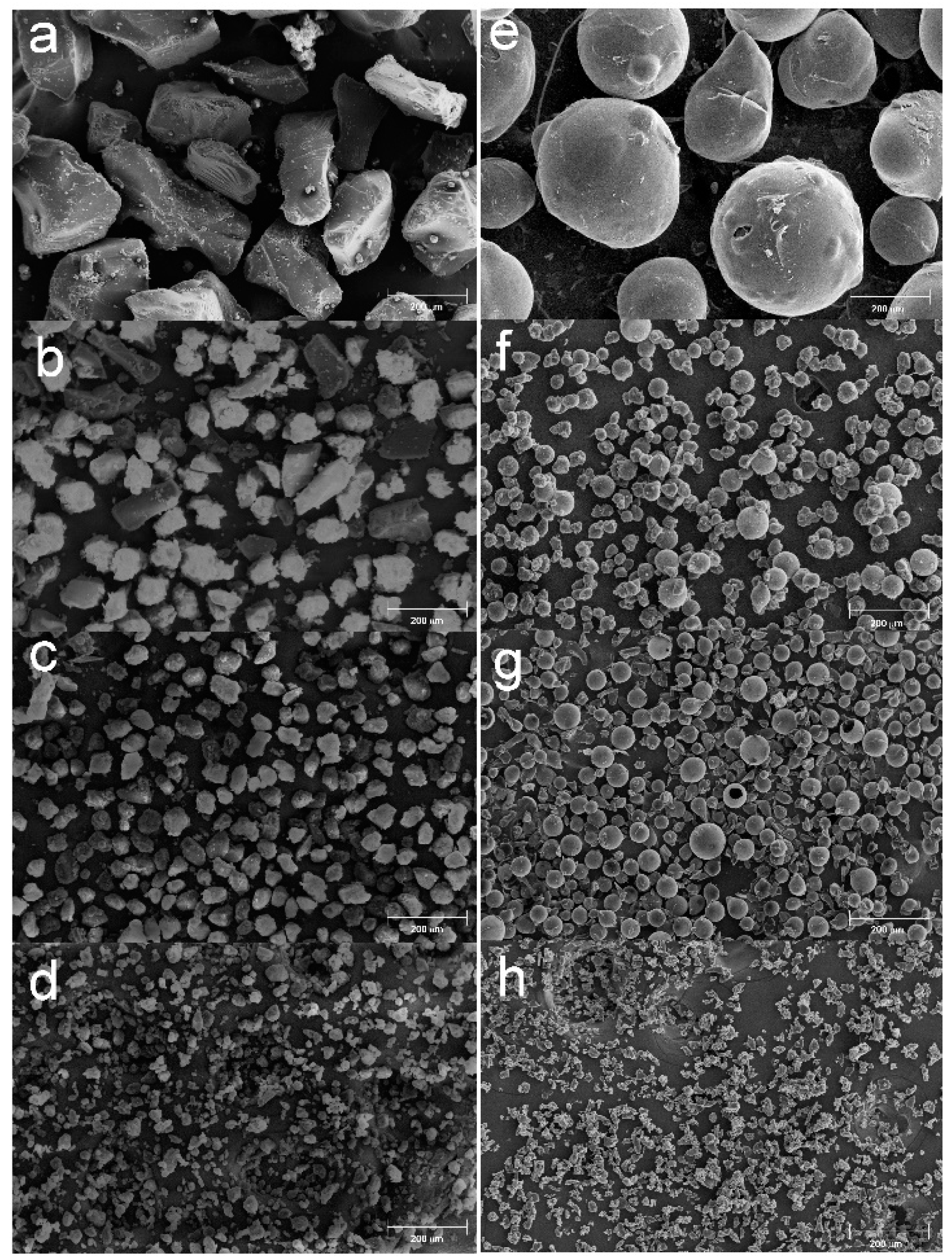 Molecules 25 03034 g002