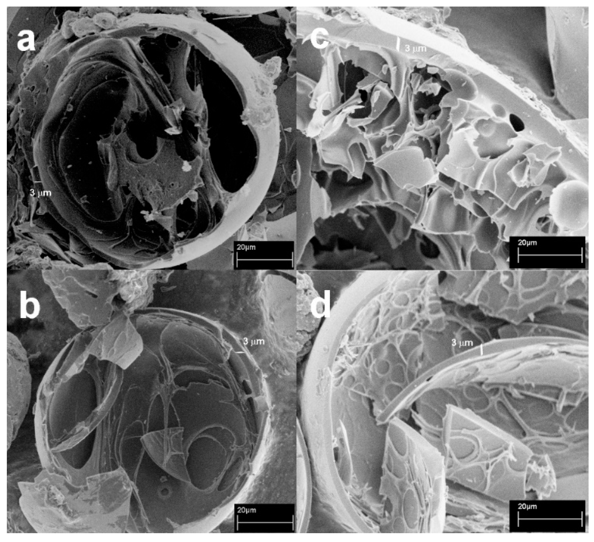 Molecules 25 03034 g003