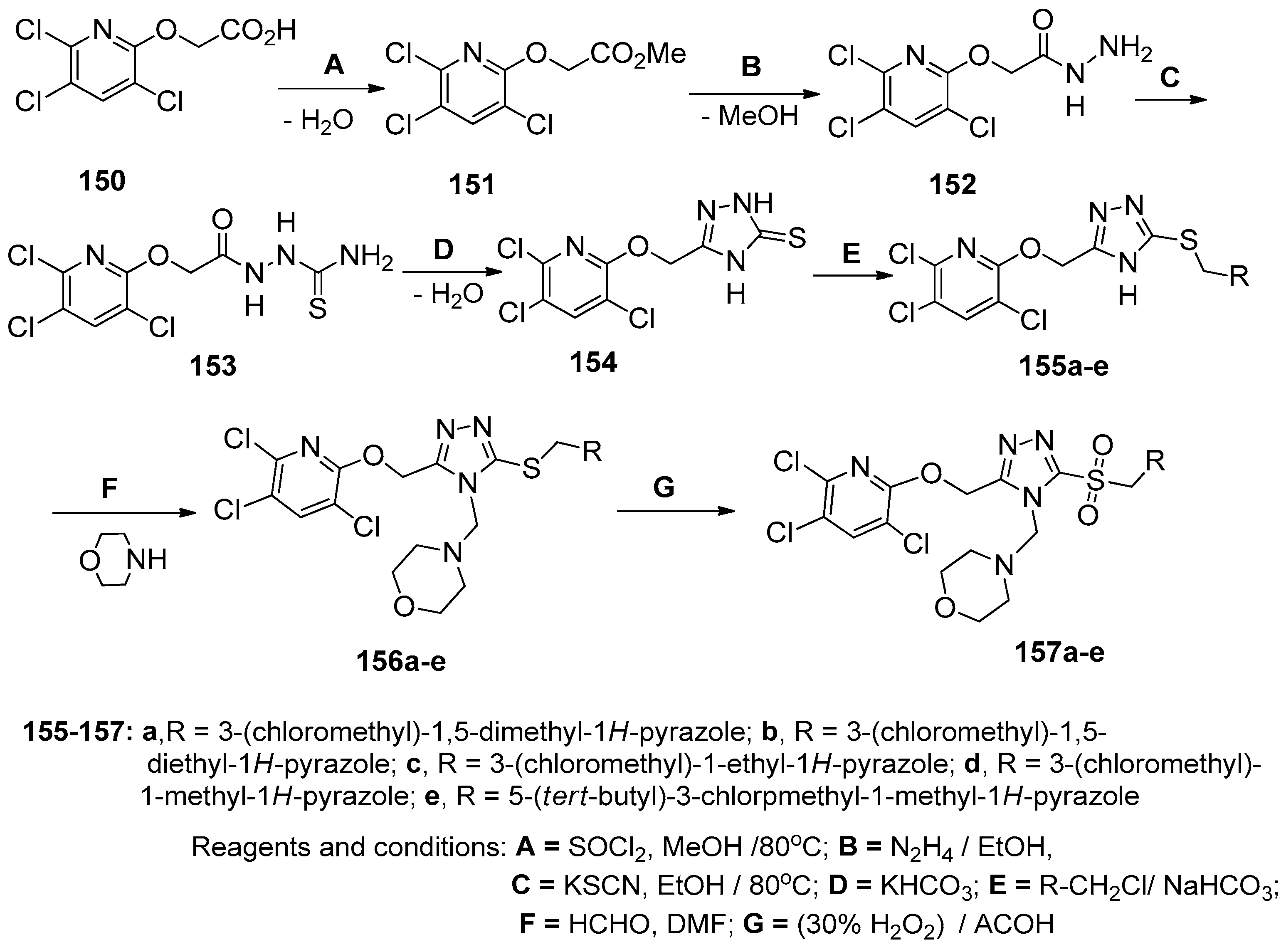 Molecules 25 03036 sch041