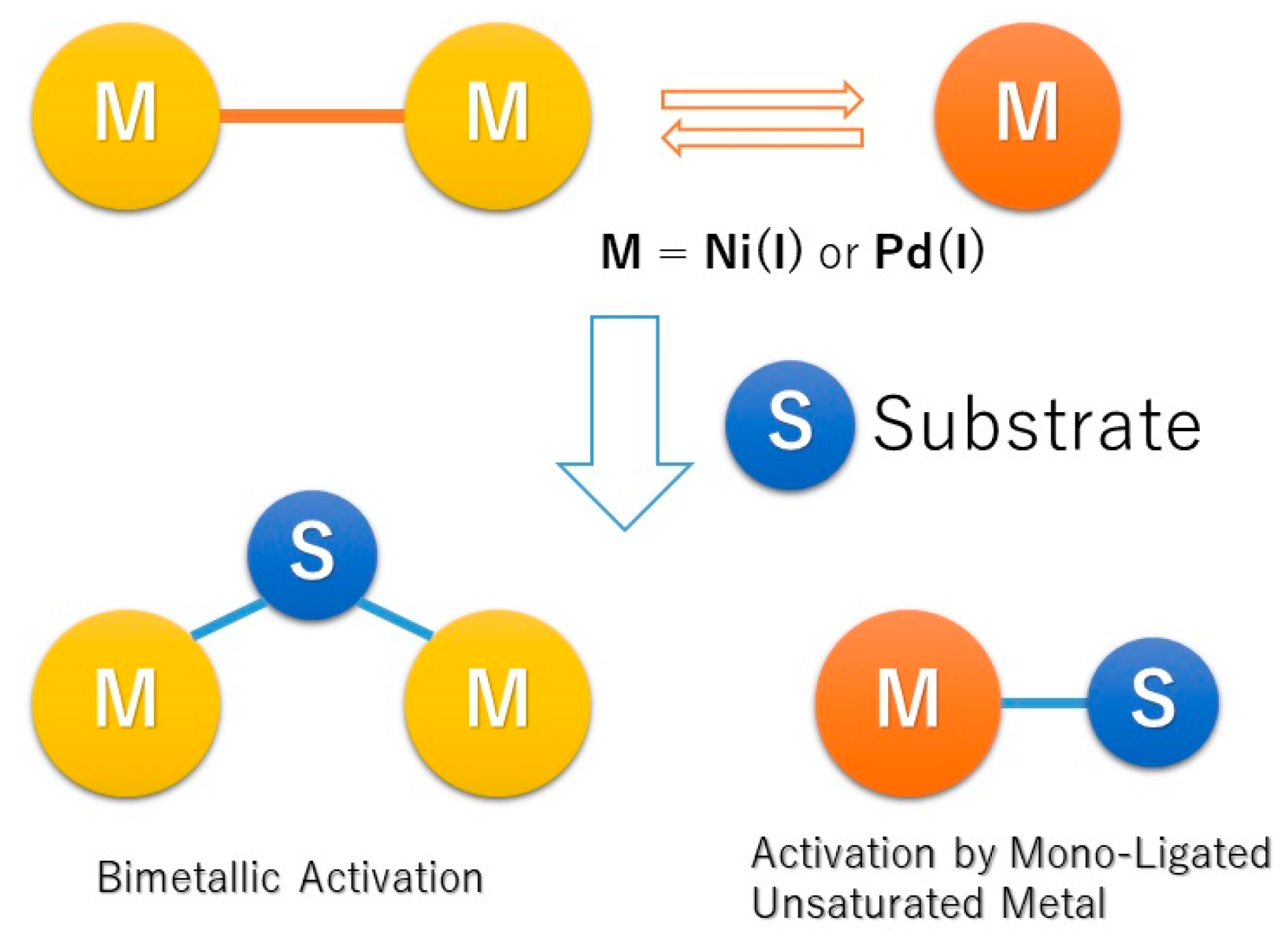 Molecules 25 03038 i006