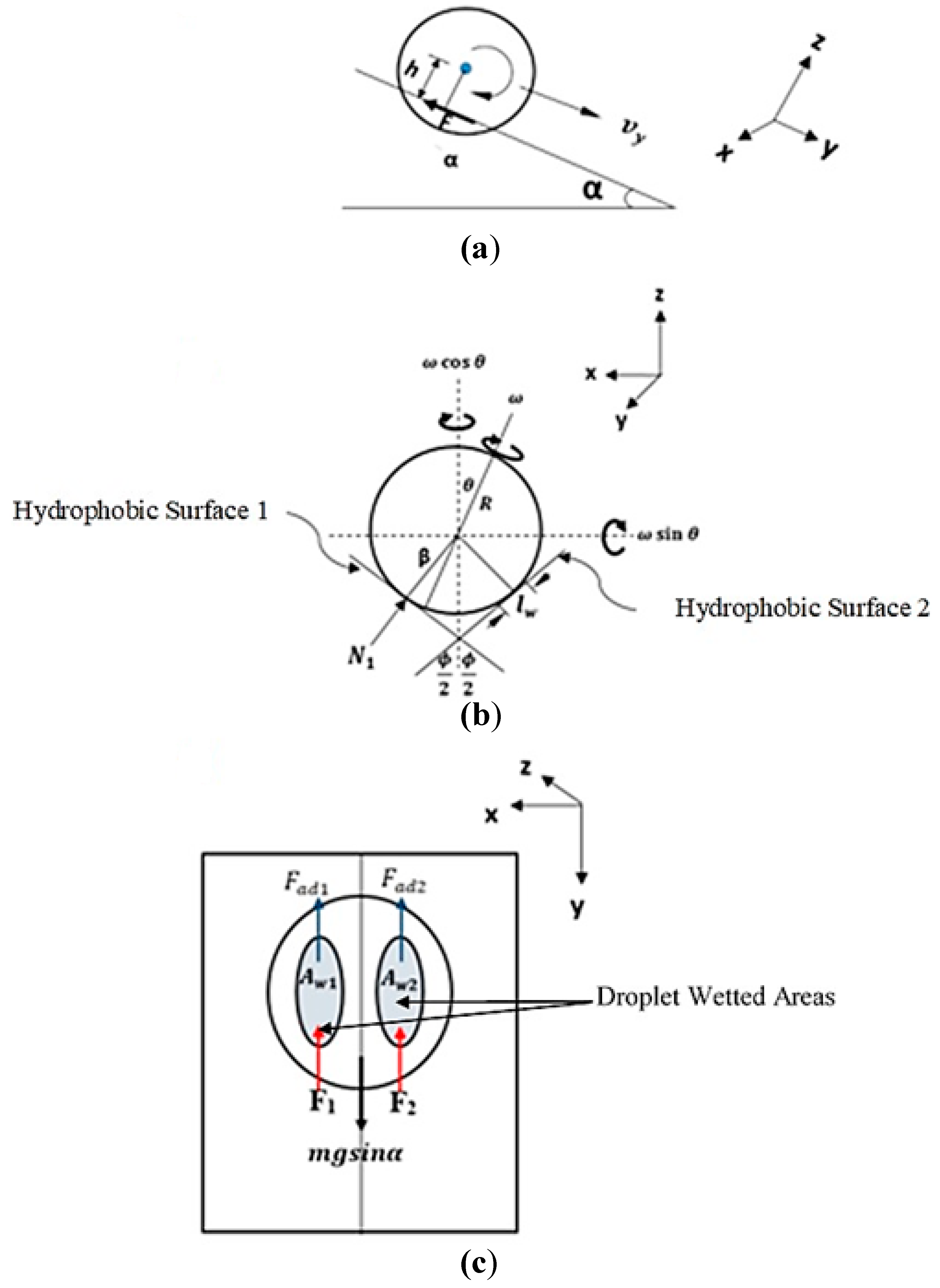 Molecules 25 03039 g002 Molecules 25 03039 g002