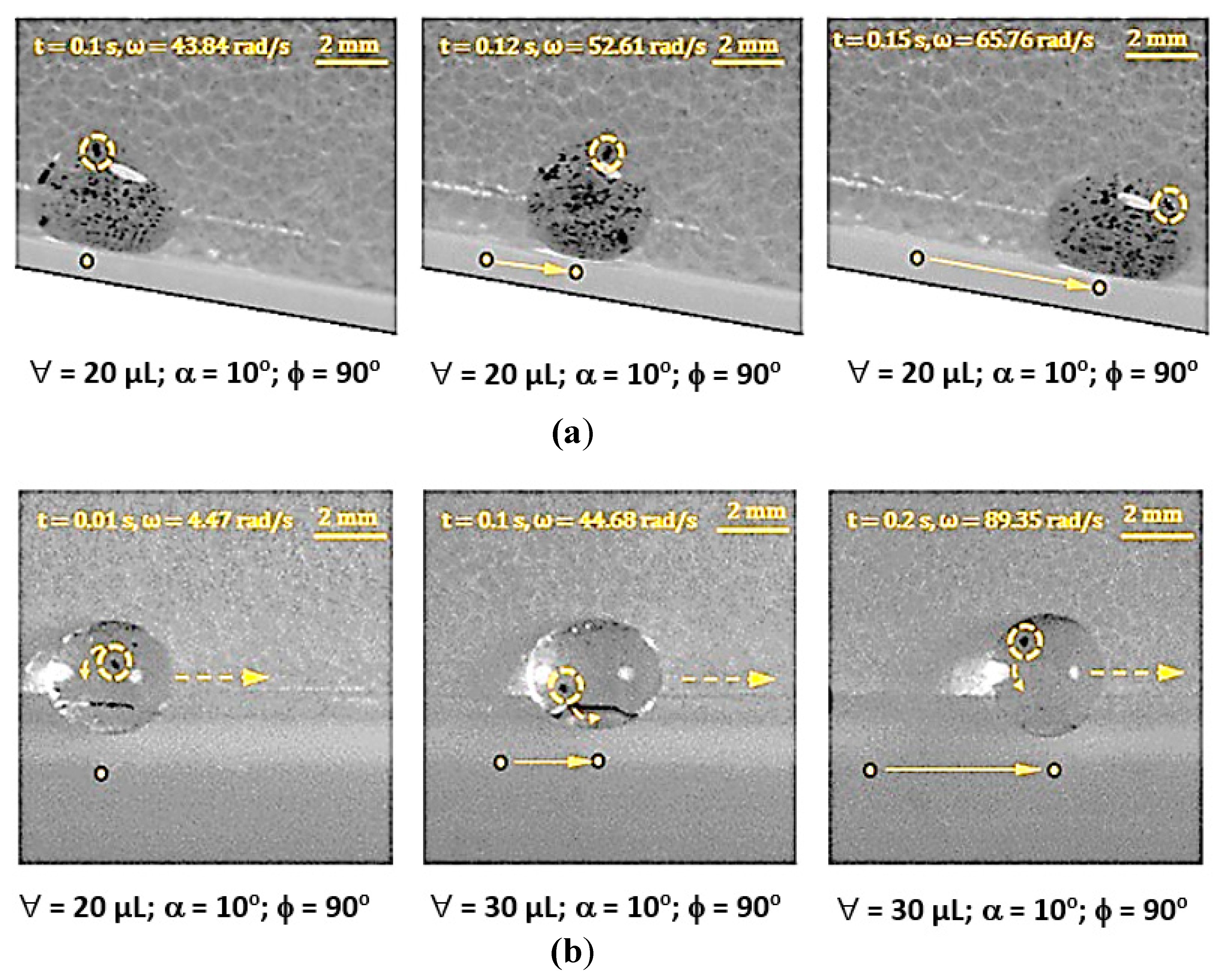 Molecules 25 03039 g006 Molecules 25 03039 g006