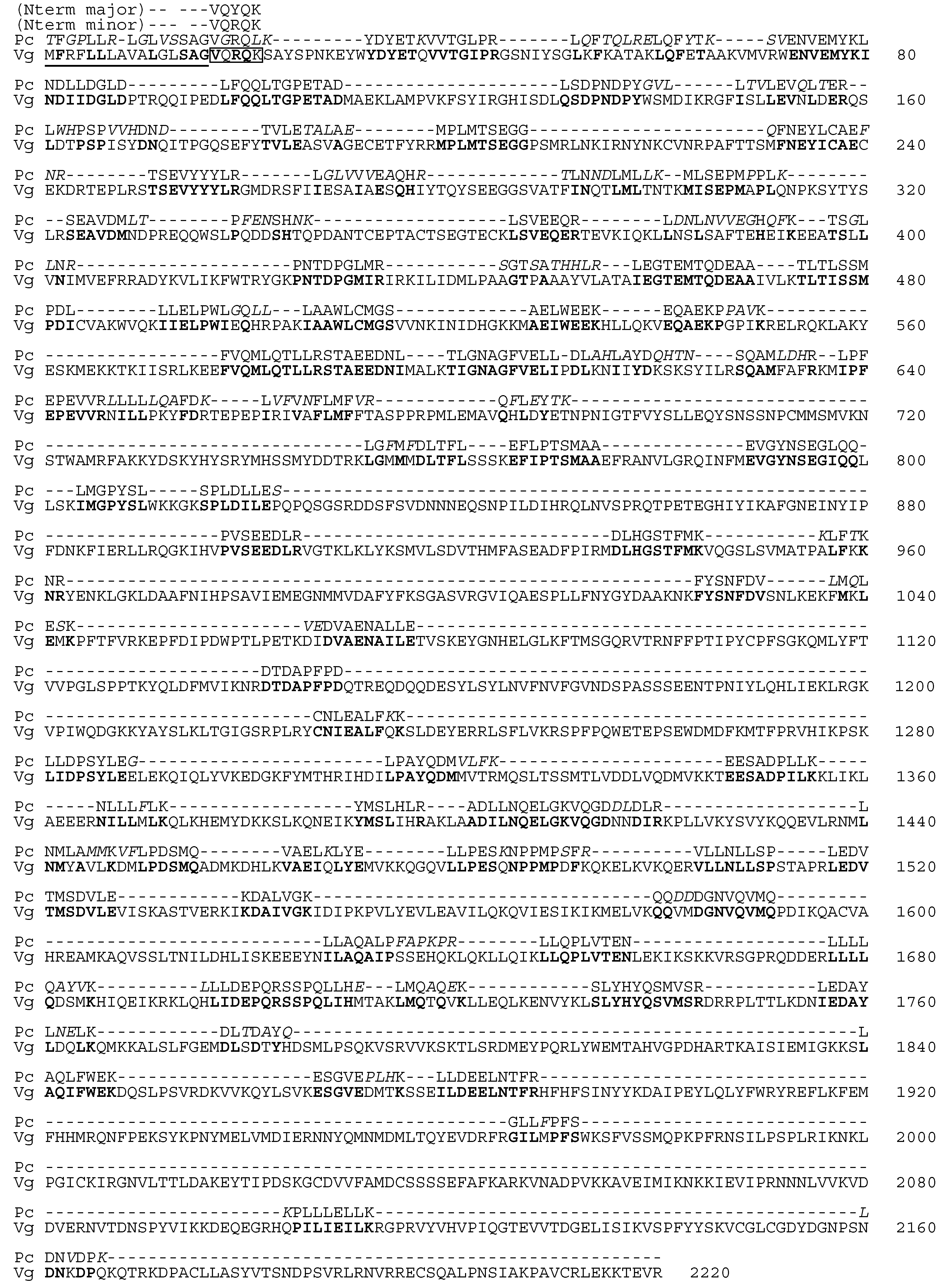 Molecules 25 03042 g002