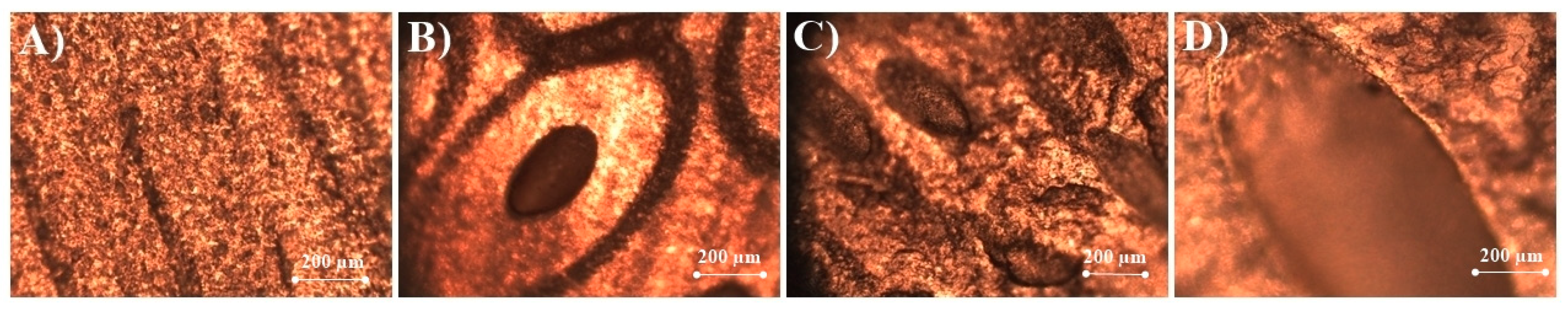 Molecules 25 03043 g005