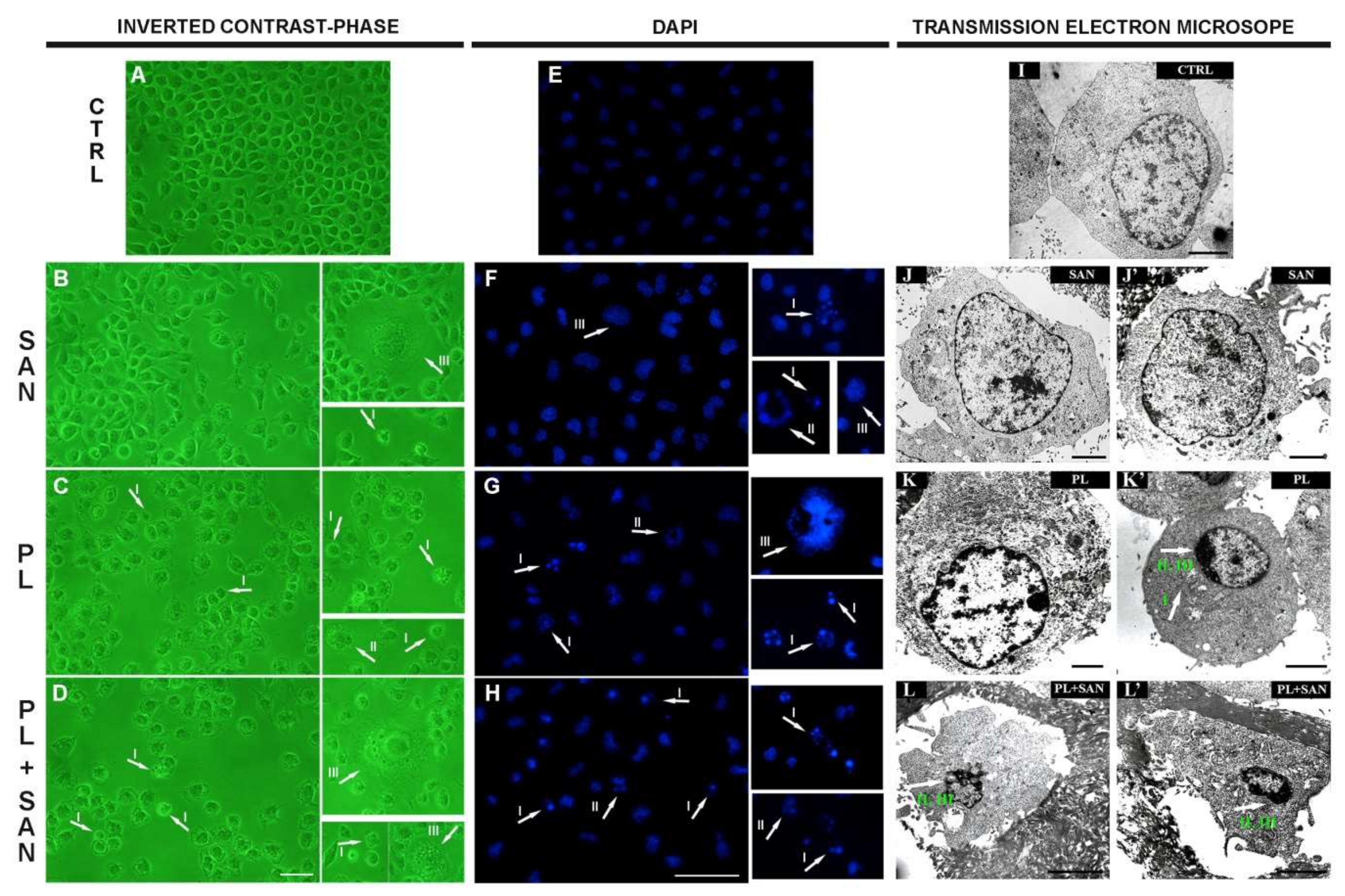 Molecules 25 03045 g006 Molecules 25 03045 g006