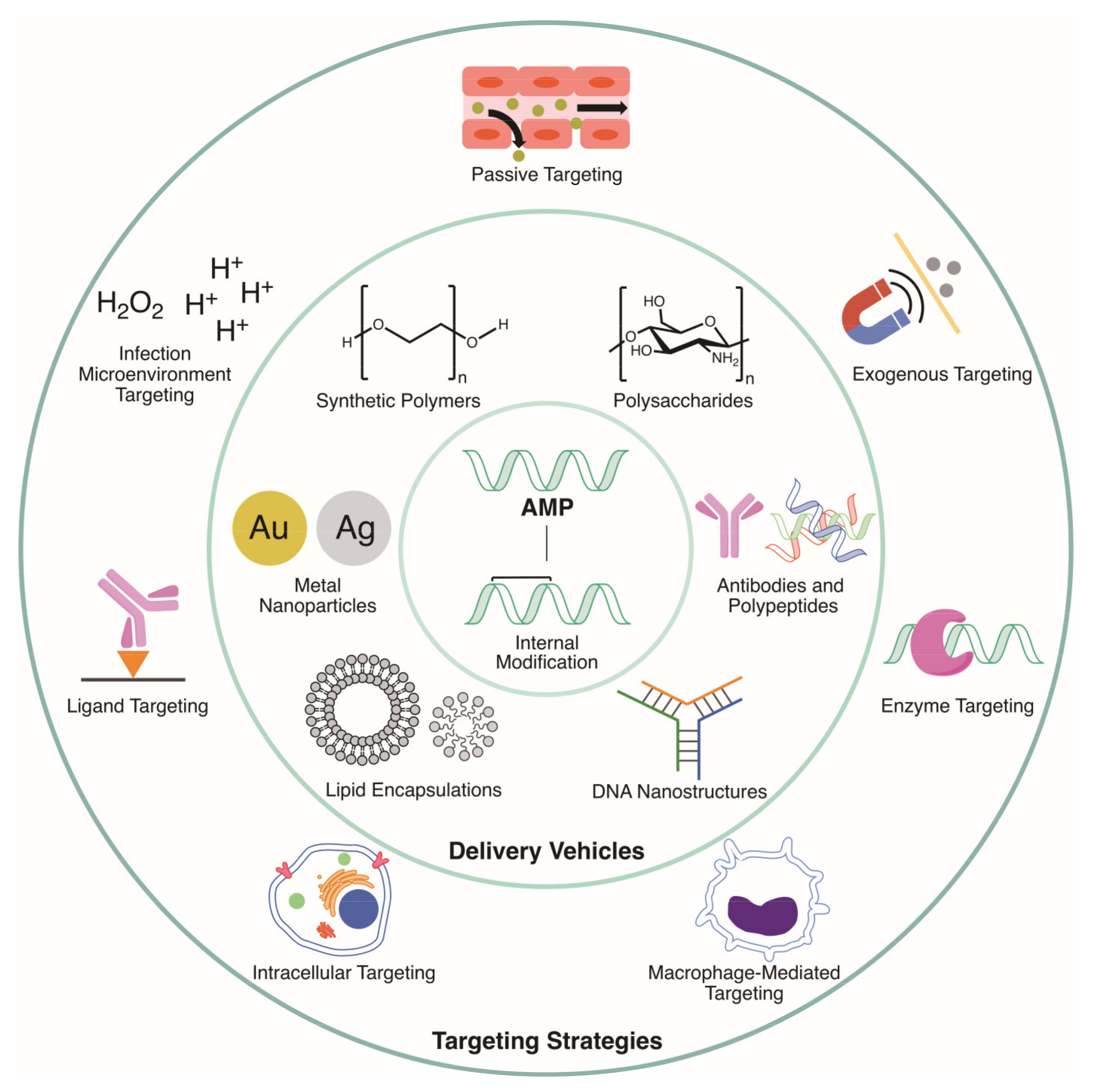 Molecules 25 03048 g001
