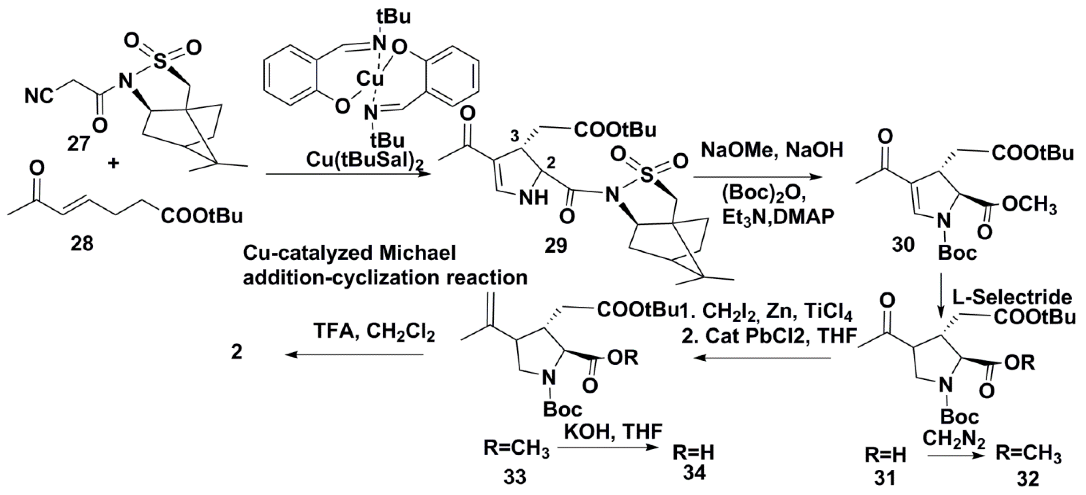 Molecules 25 03049 sch004 Molecules 25 03049 sch004