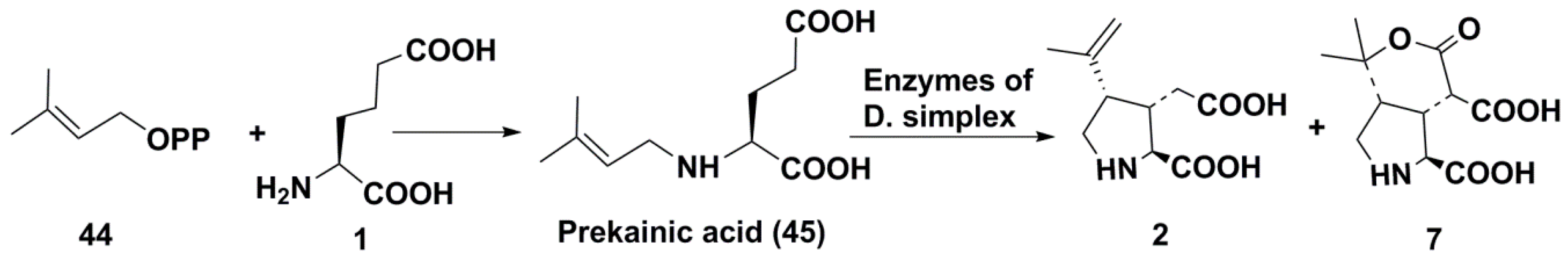Molecules 25 03049 sch007 Molecules 25 03049 sch007