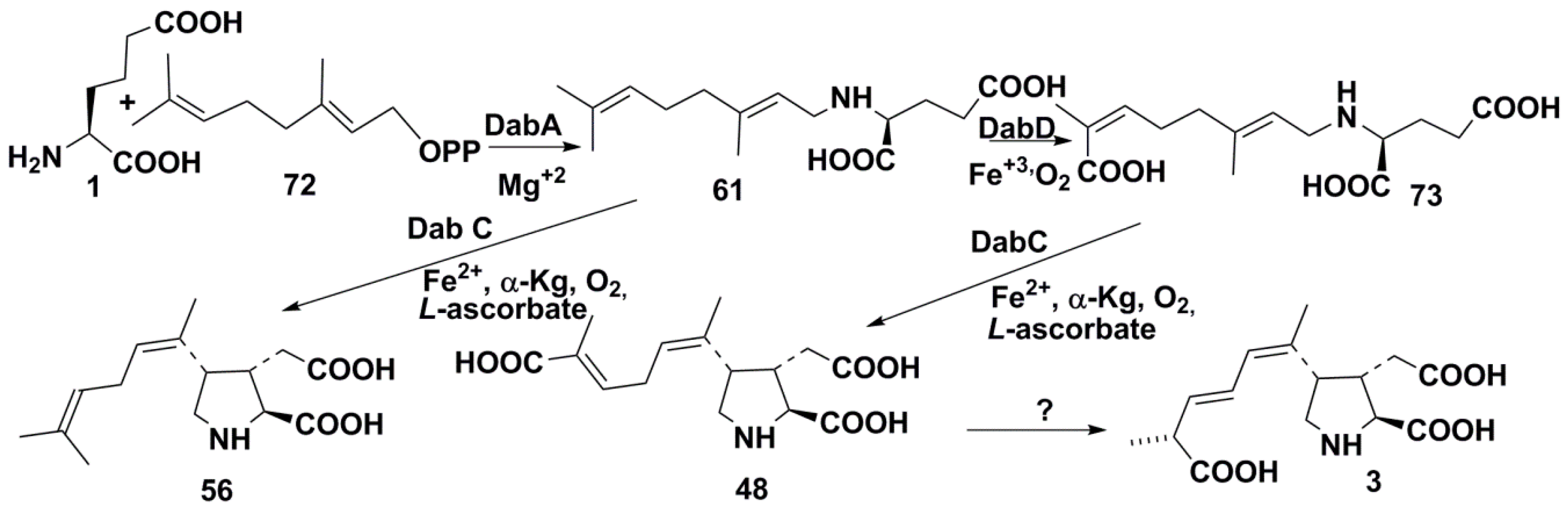 Molecules 25 03049 sch009 Molecules 25 03049 sch009